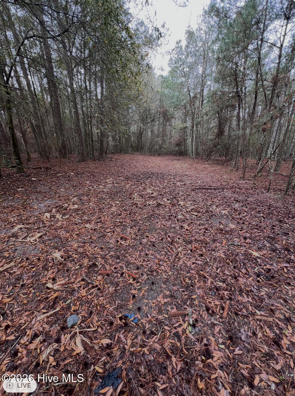 00 Lot 1. 17.93 +- Ac Garland Highway Property Photo 7