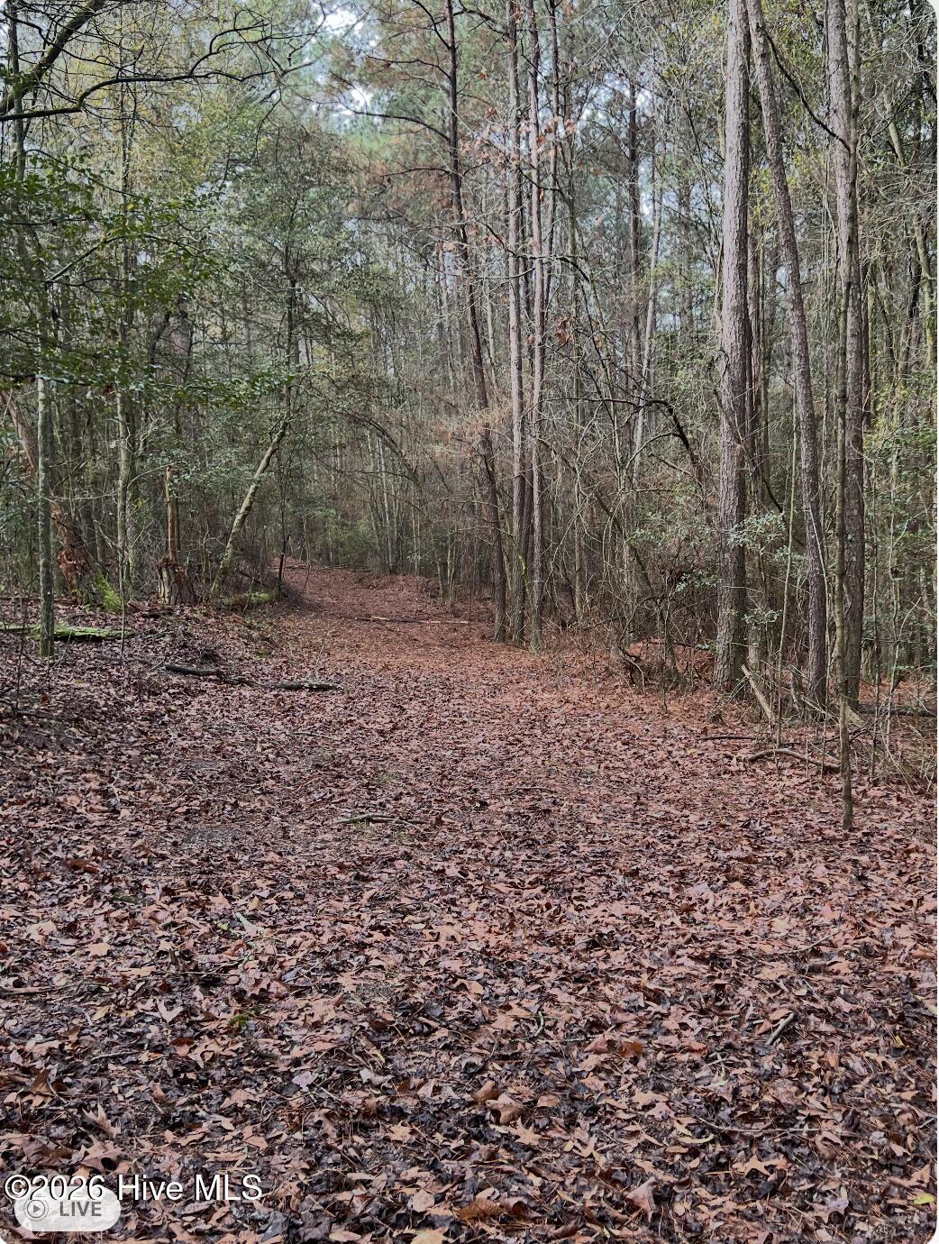00 Lot 1. 17.93 +- Ac Garland Highway Property Photo 8