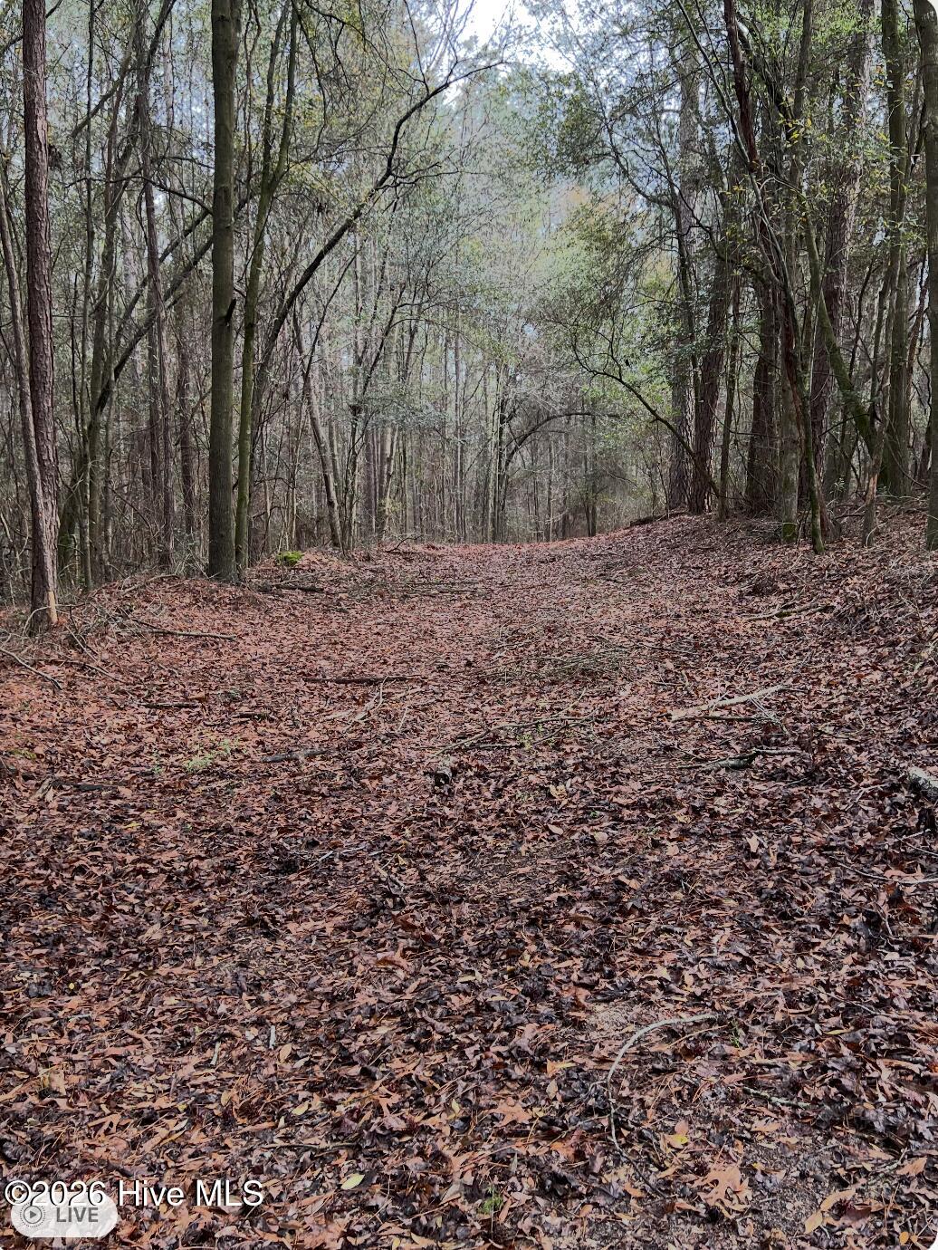 00 Lot 1. 17.93 +- Ac Garland Highway Property Photo 9