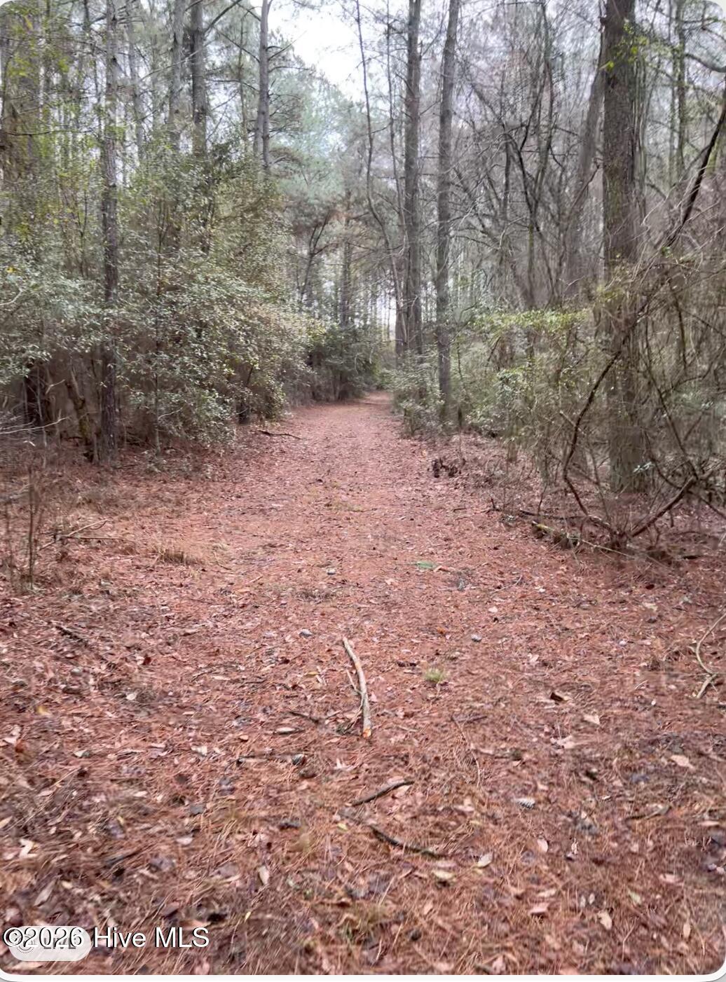 00 Lot 1. 17.93 +- Ac Garland Highway Property Photo 10