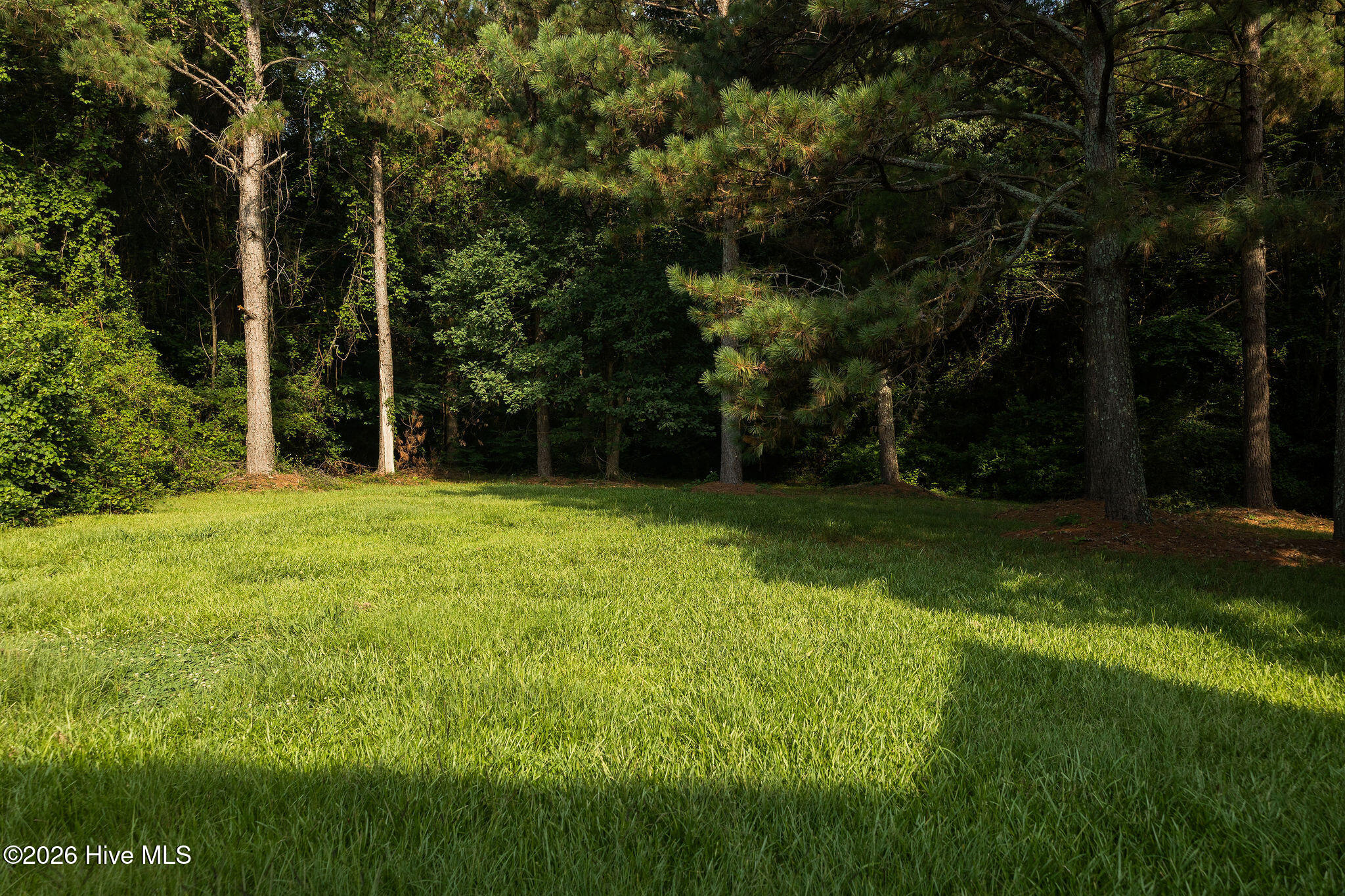 1006 Braswell Road Property Photo 40