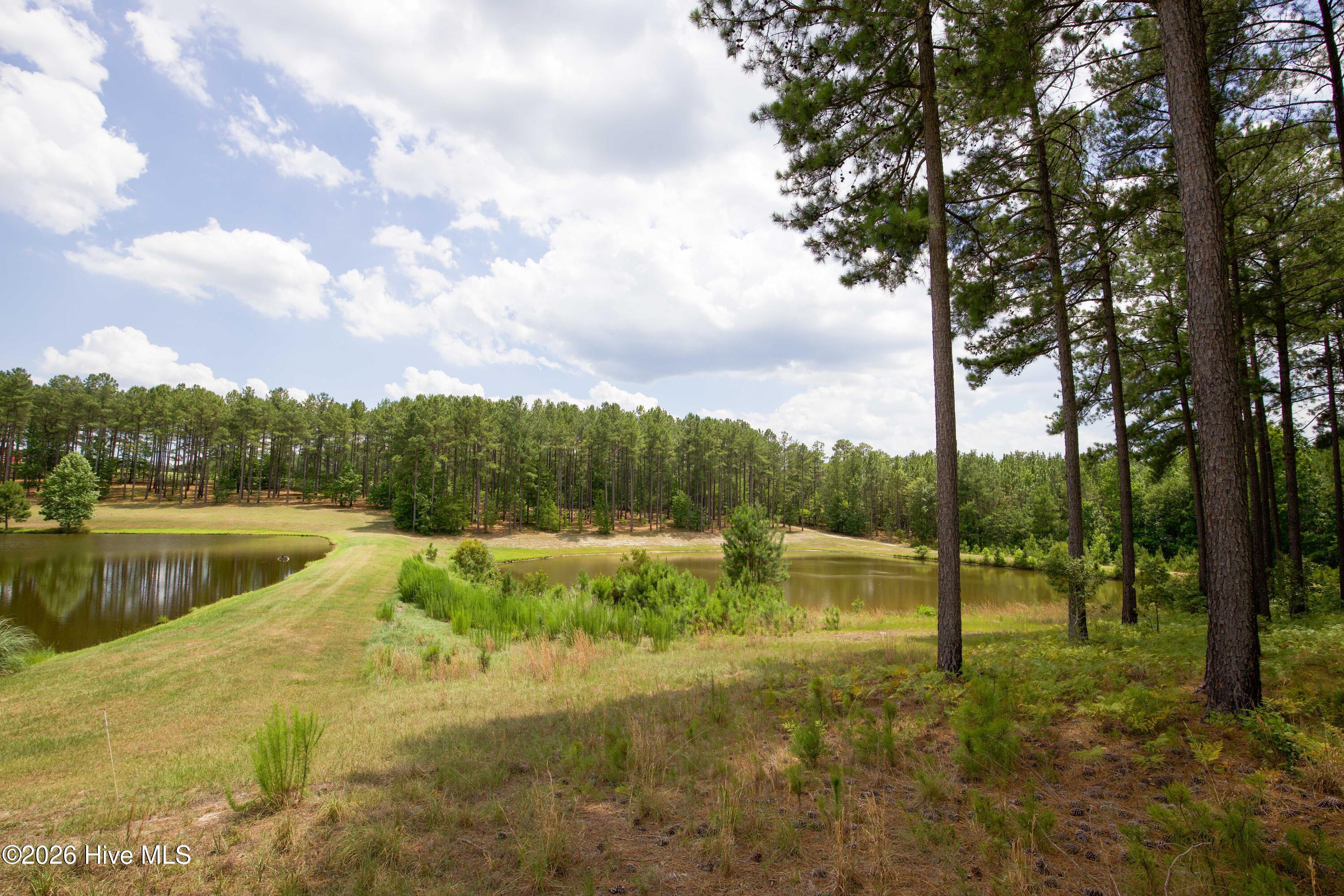 220 44b Justin Way Property Photo 31