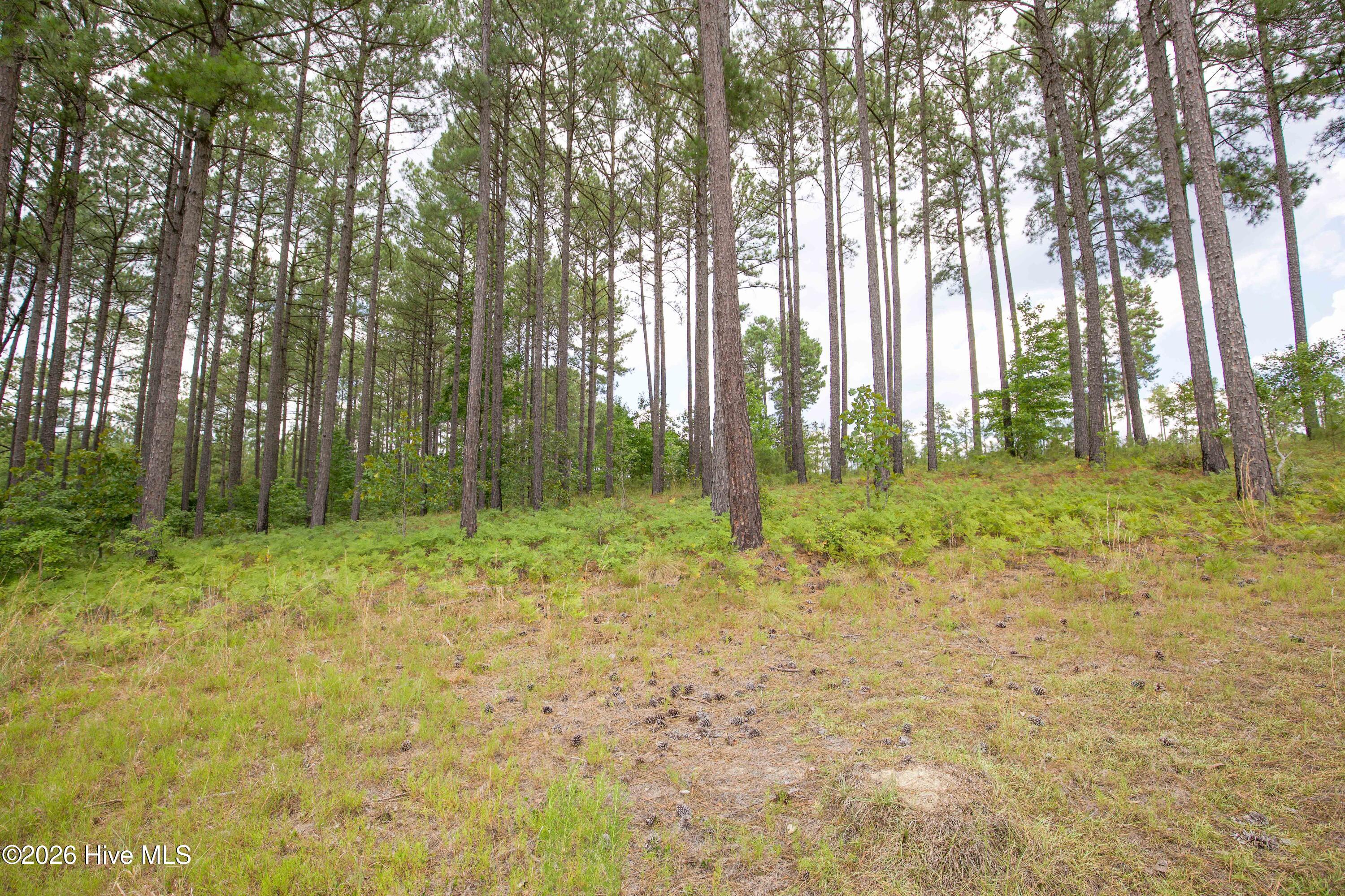 220 44b Justin Way Property Photo 35