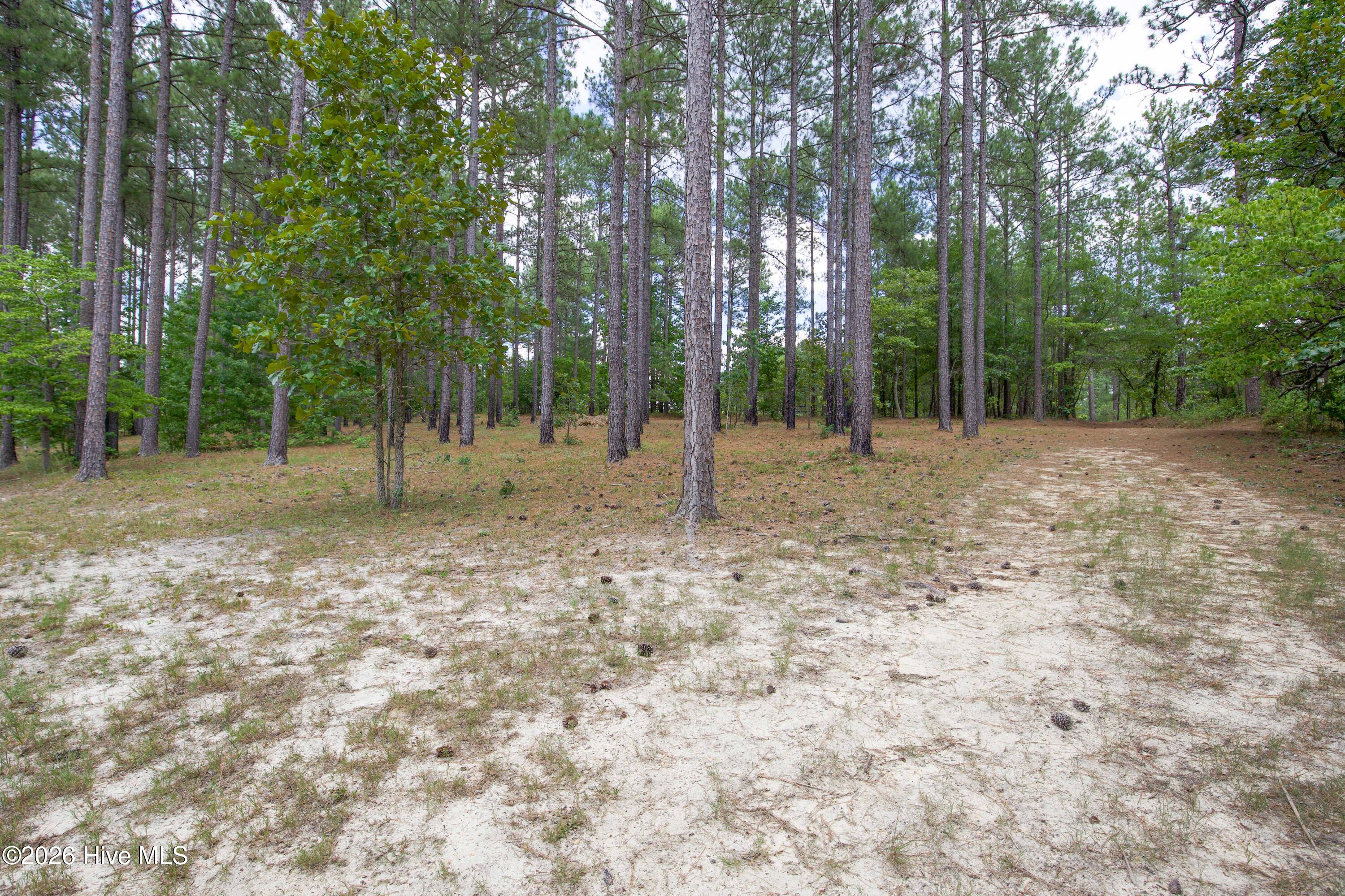 220 44b Justin Way Property Photo 45