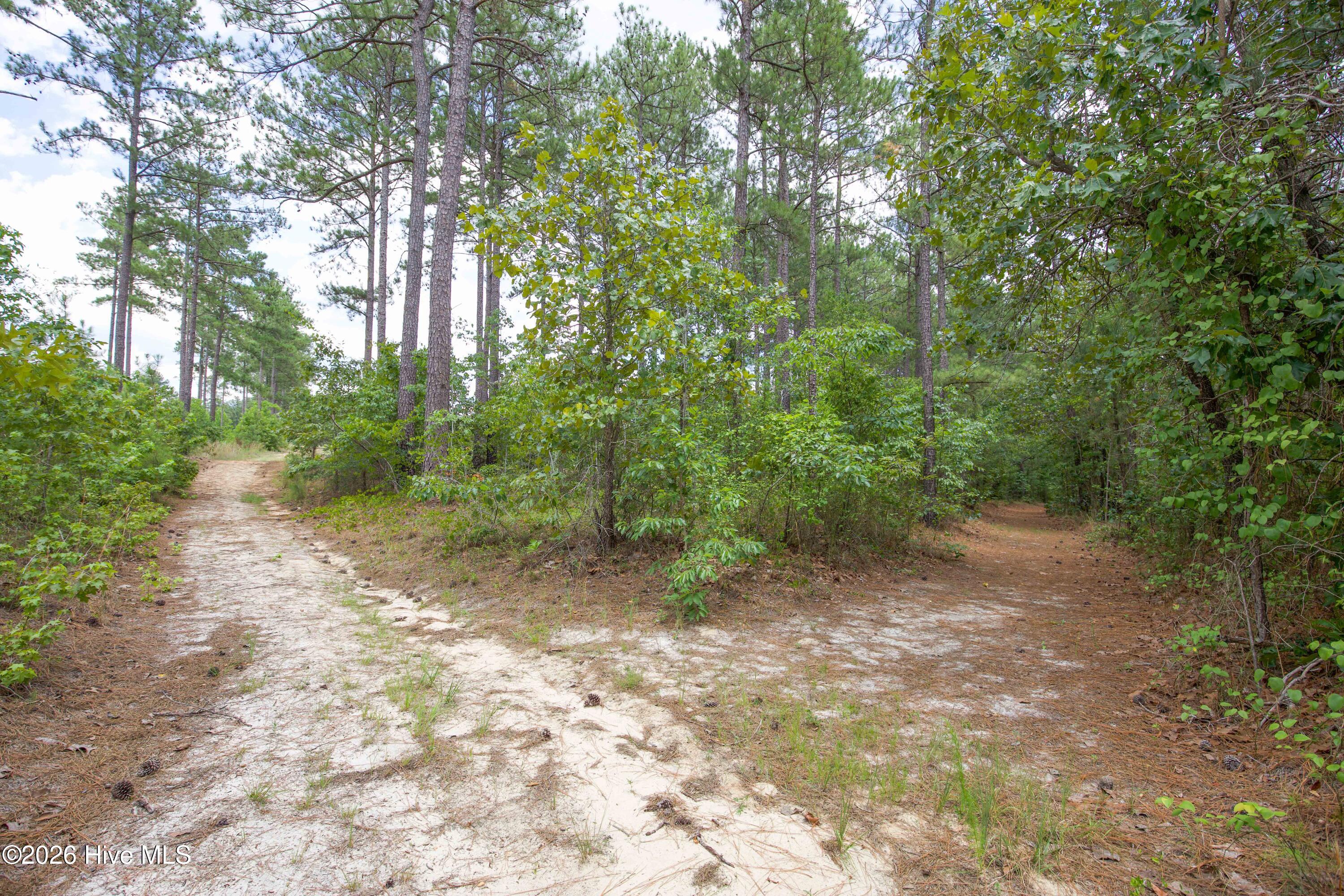220 44b Justin Way Property Photo 49