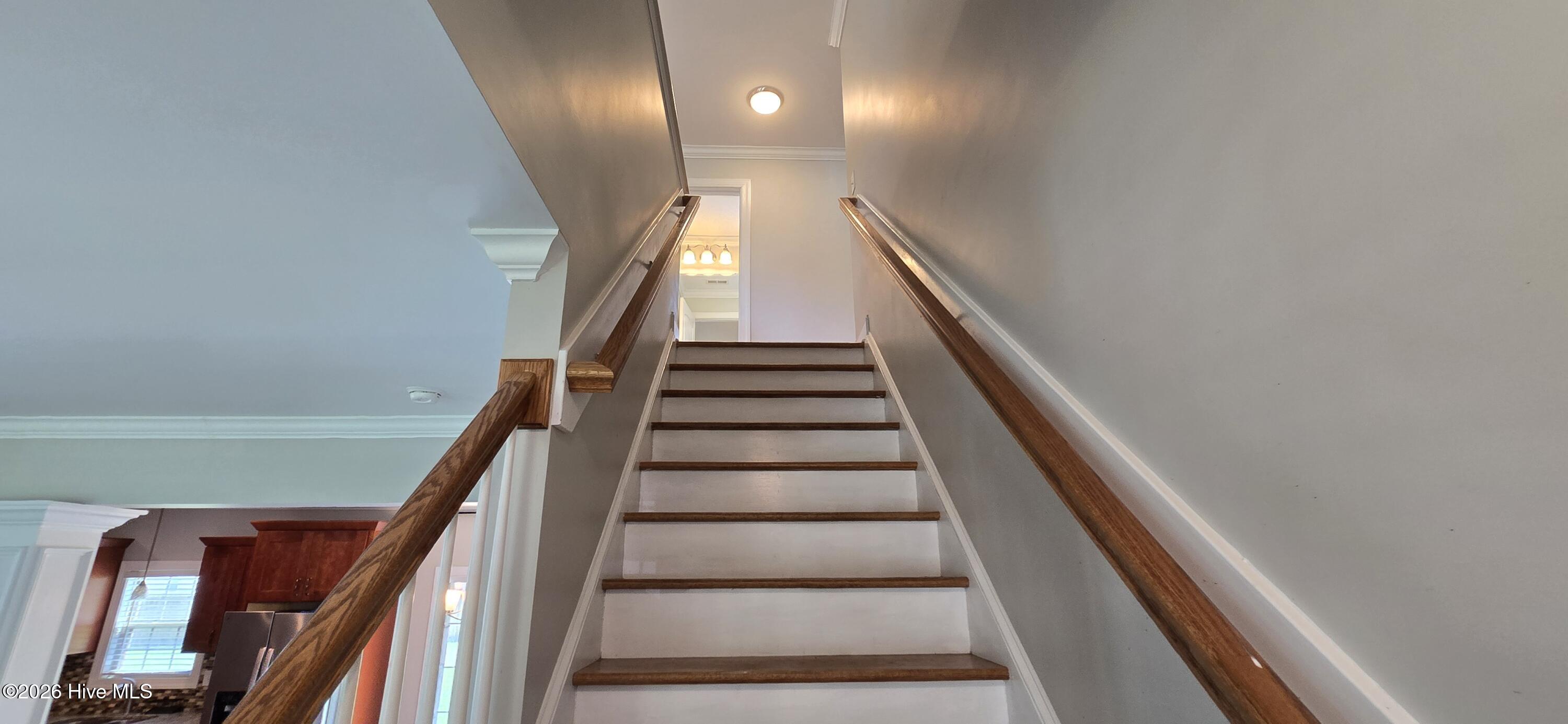 4318 Bristlecone Drive Property Photo 16