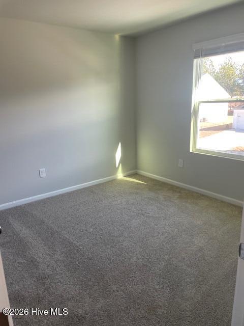 6422 Swainson Street Sw Lot 228 Littleton Property Photo 14