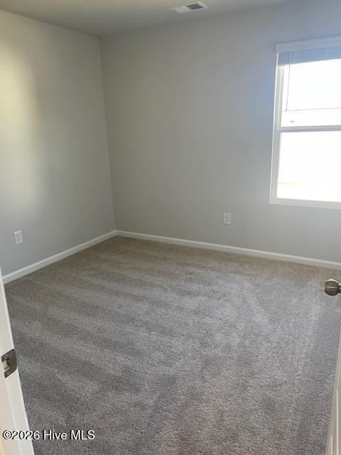 6422 Swainson Street Sw Lot 228 Littleton Property Photo 15