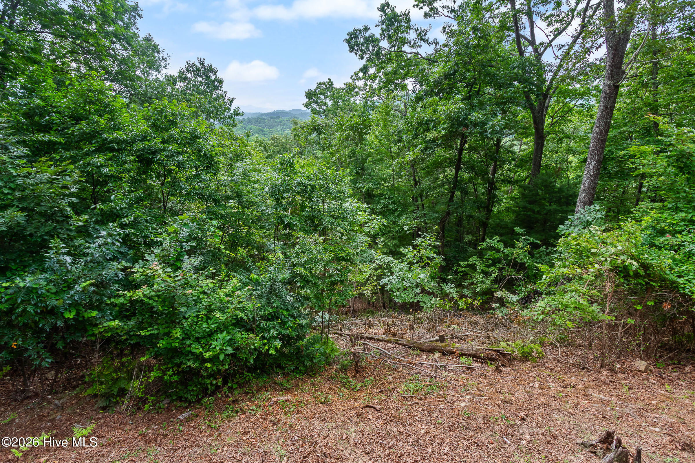 620 Cardinal Road Property Photo 57