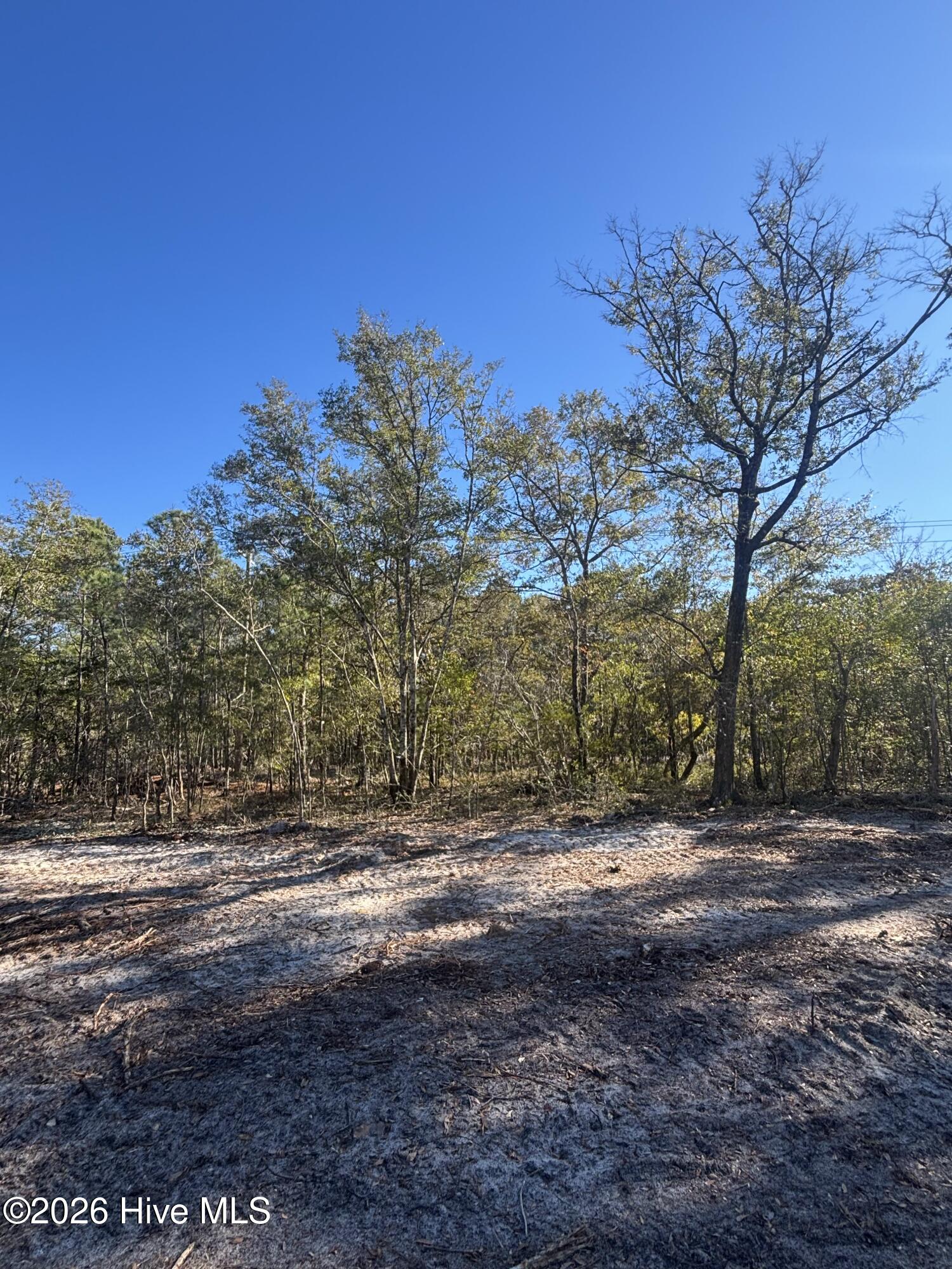 Lot 205 Coral Gull Street Property Photo 1