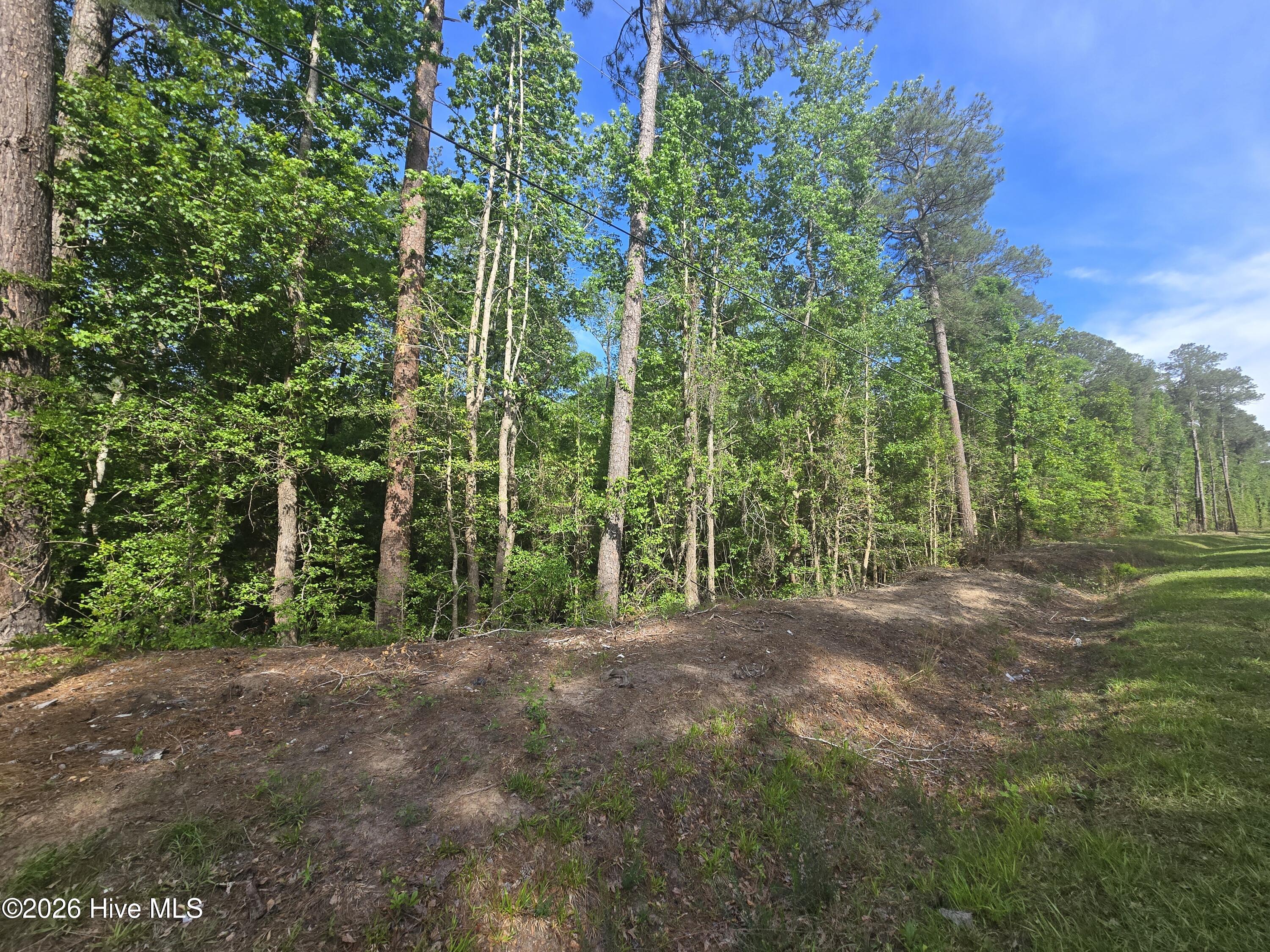 Tbd 35-40 Cabins Creek Road Property Photo 1