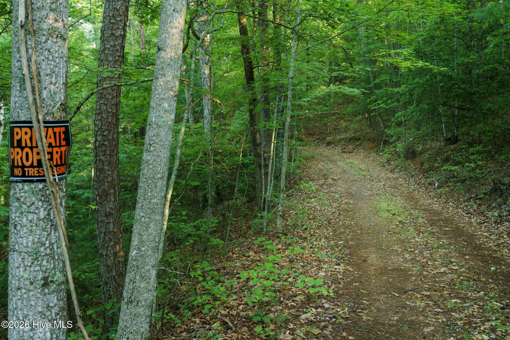 0 Gloryland Way Property Photo 7