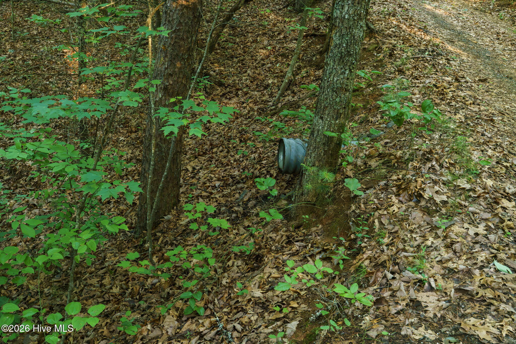 0 Gloryland Way Property Photo 8