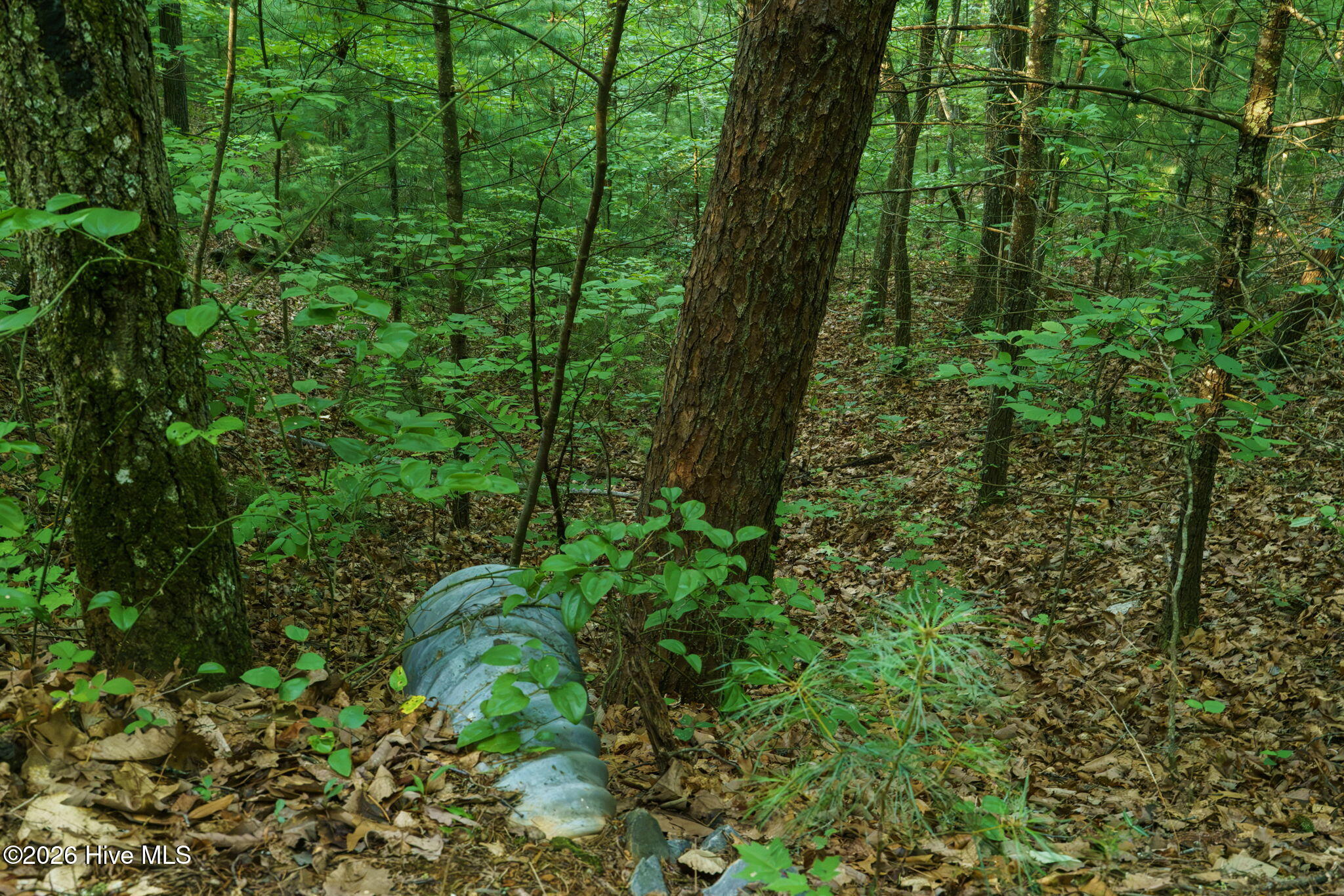 0 Gloryland Way Property Photo 9