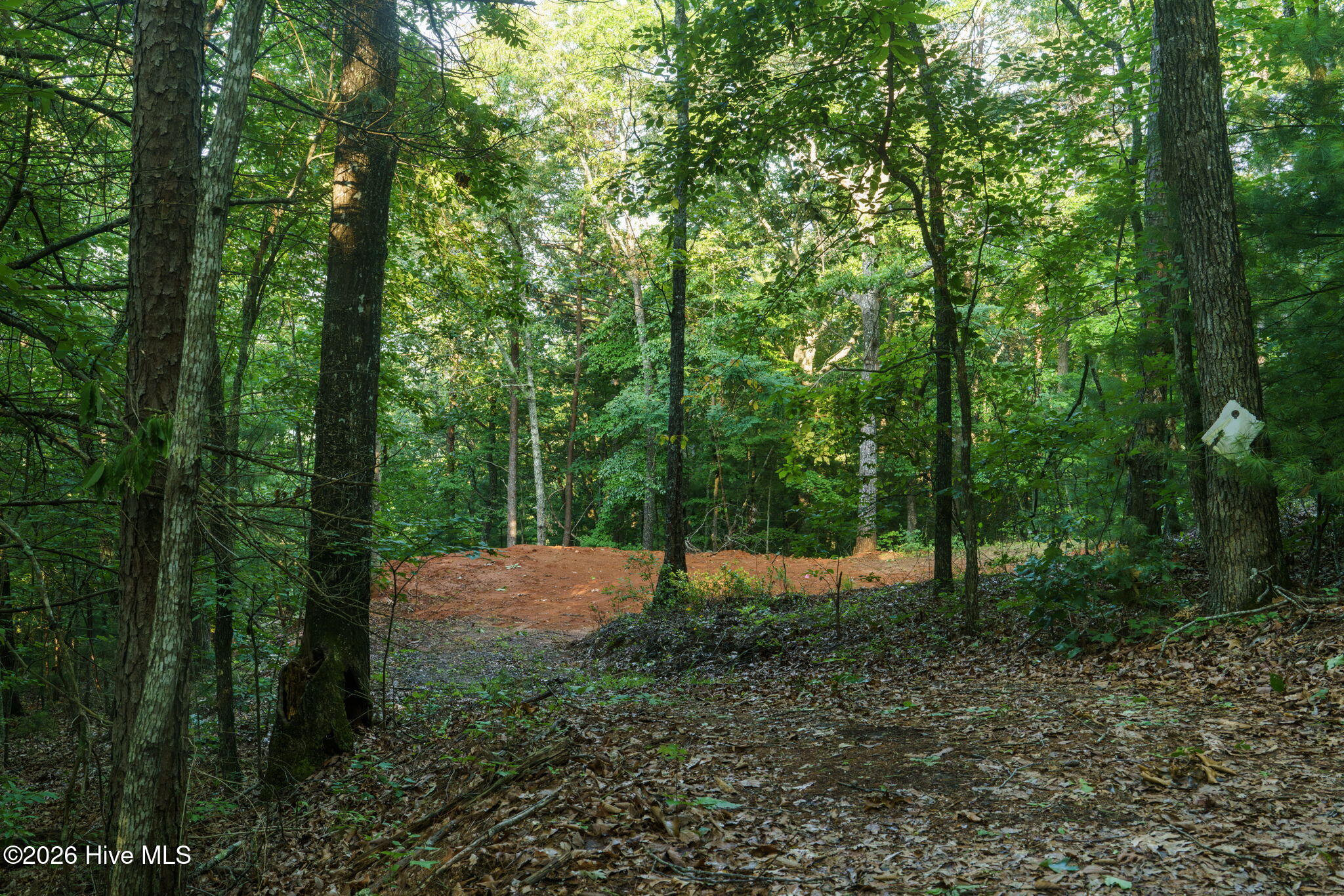 0 Gloryland Way Property Photo 10
