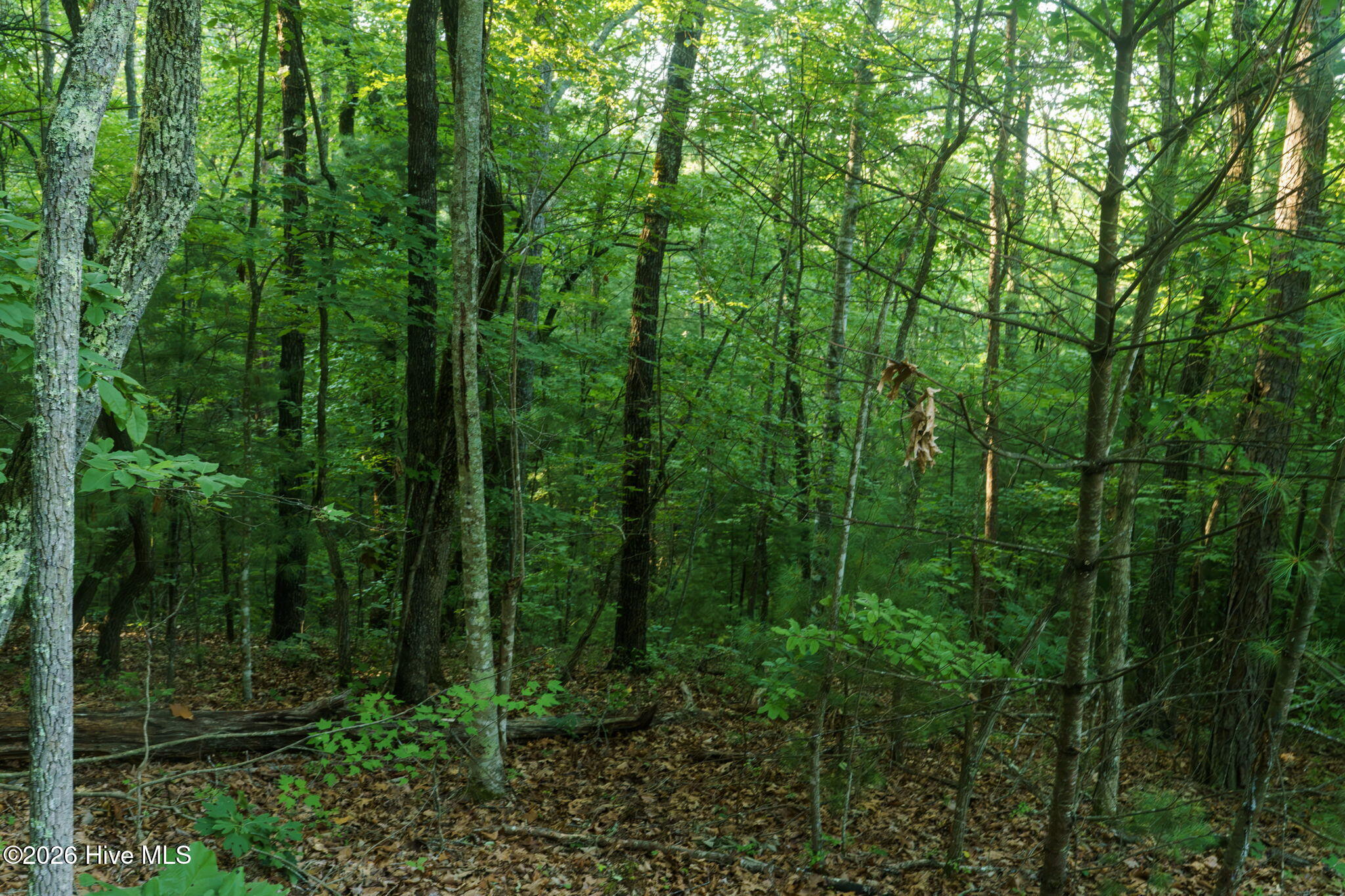 0 Gloryland Way Property Photo 14