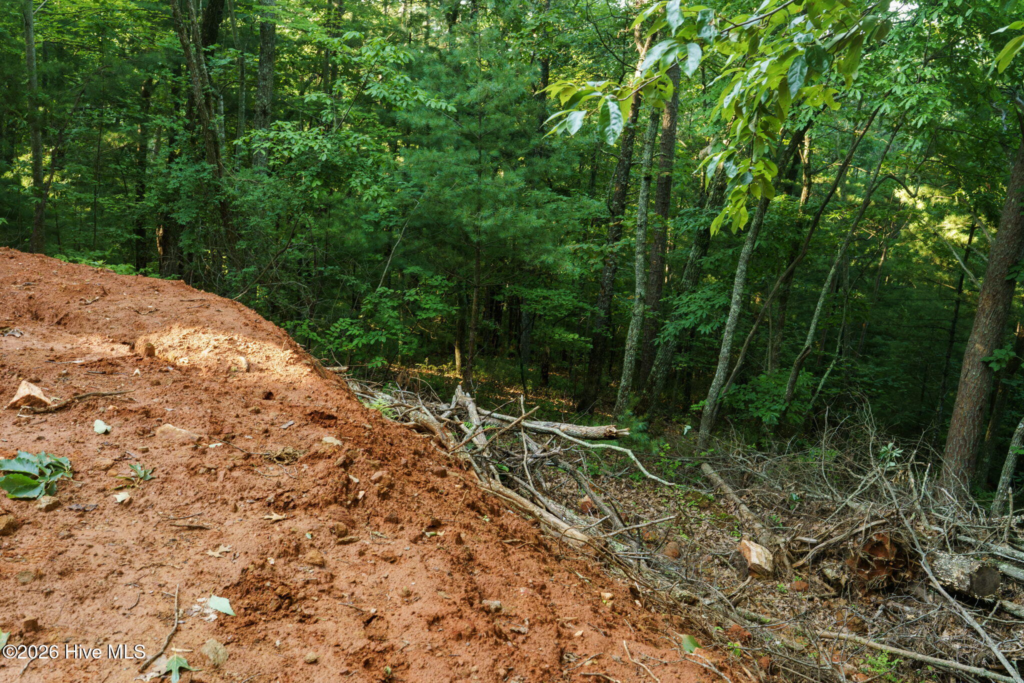 0 Gloryland Way Property Photo 18