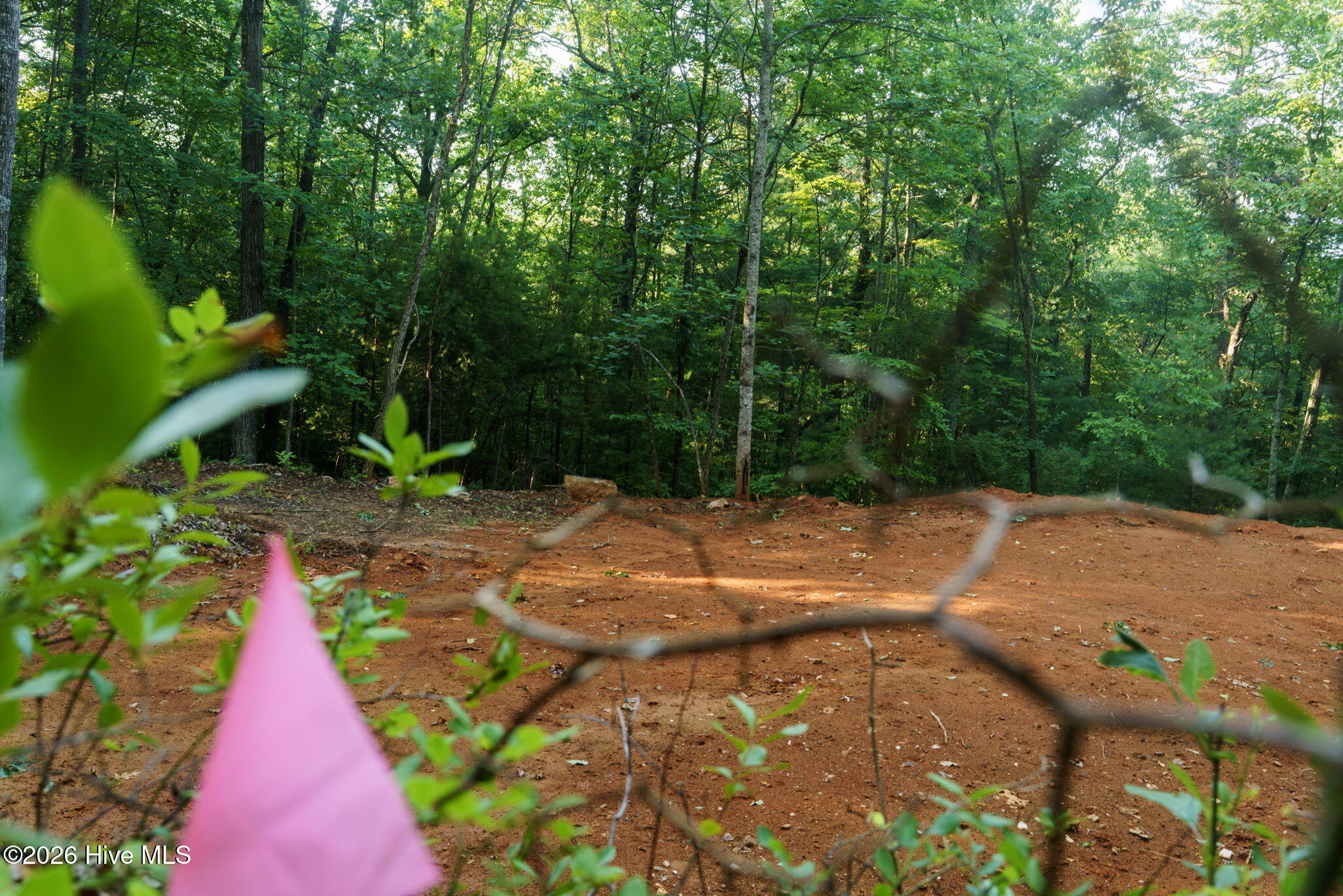 0 Gloryland Way Property Photo 21