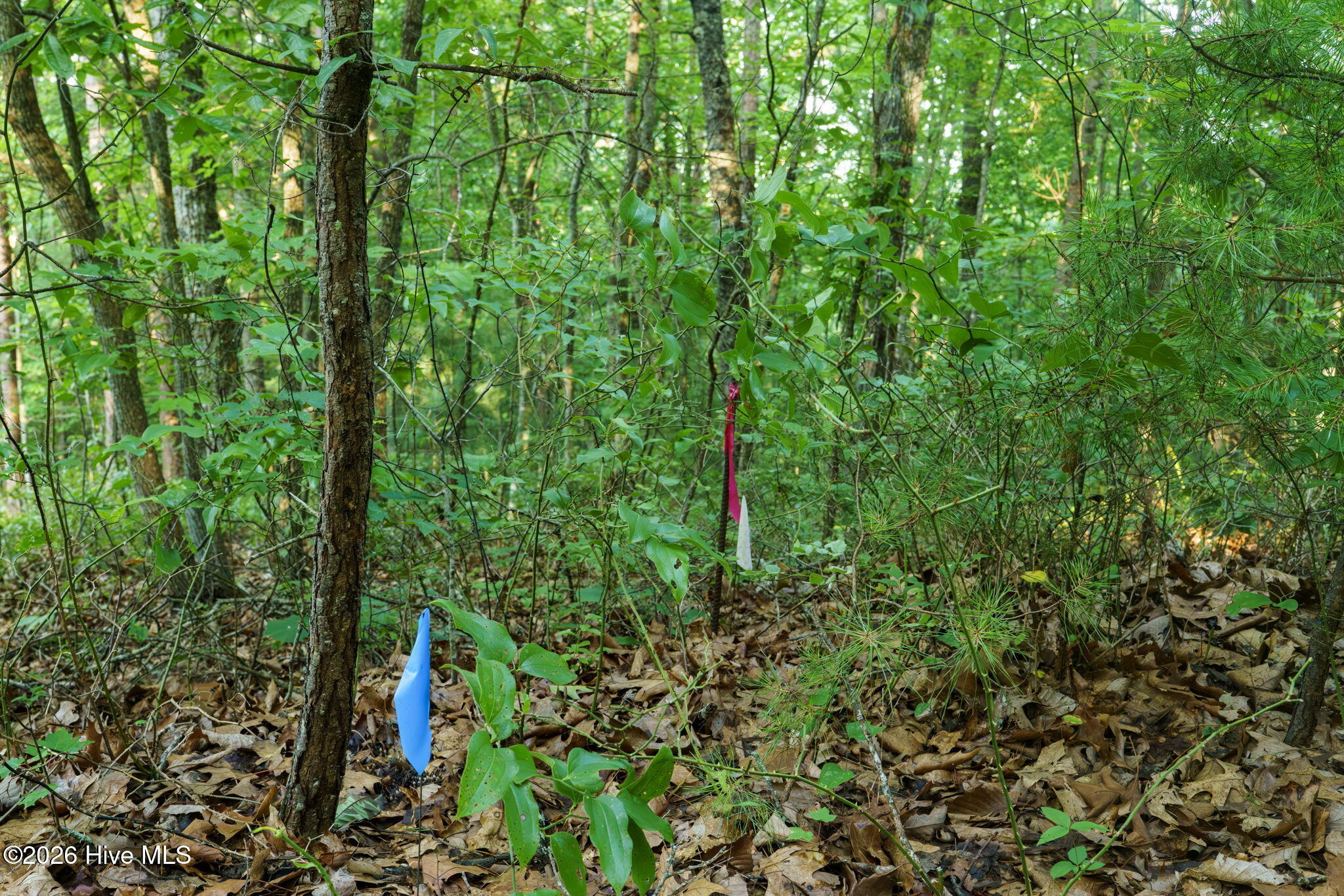 0 Gloryland Way Property Photo 22