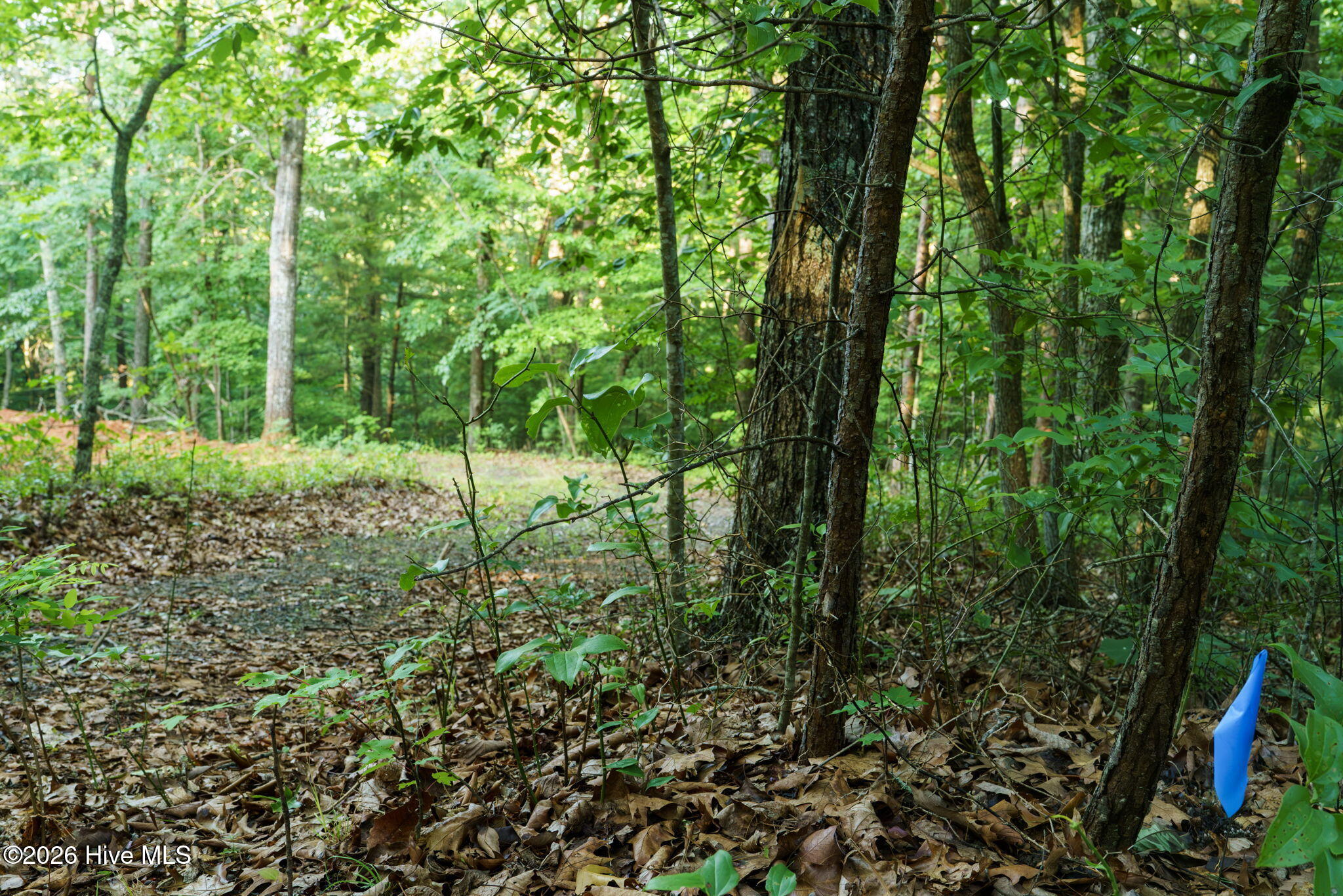 0 Gloryland Way Property Photo 23