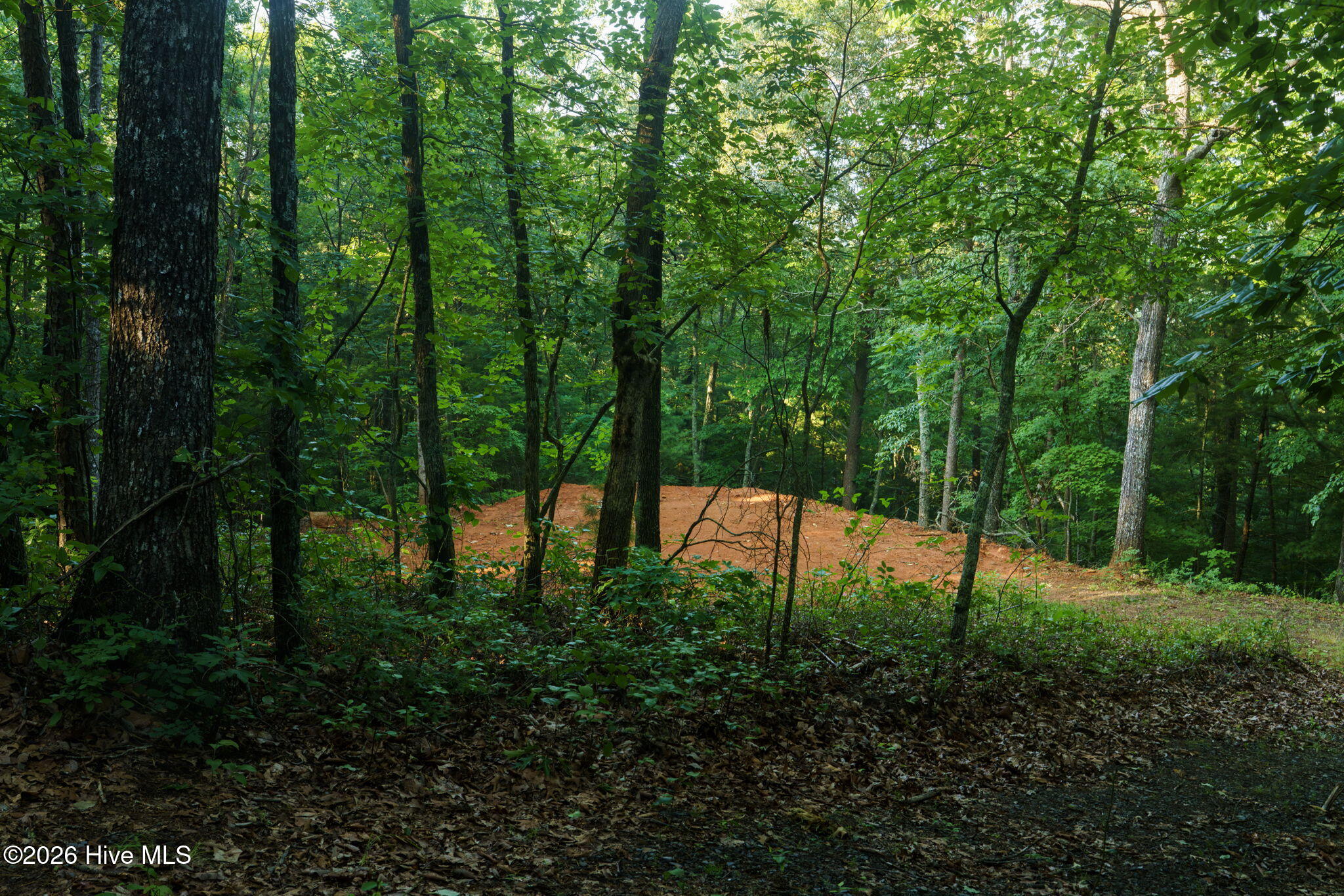 0 Gloryland Way Property Photo 24