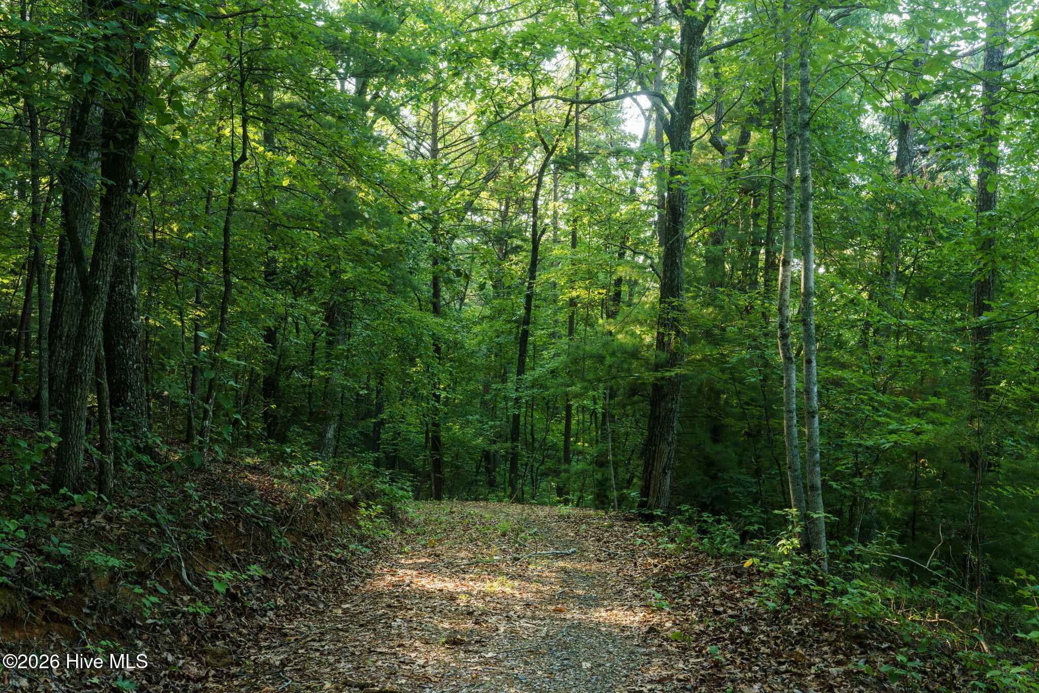 0 Gloryland Way Property Photo 25
