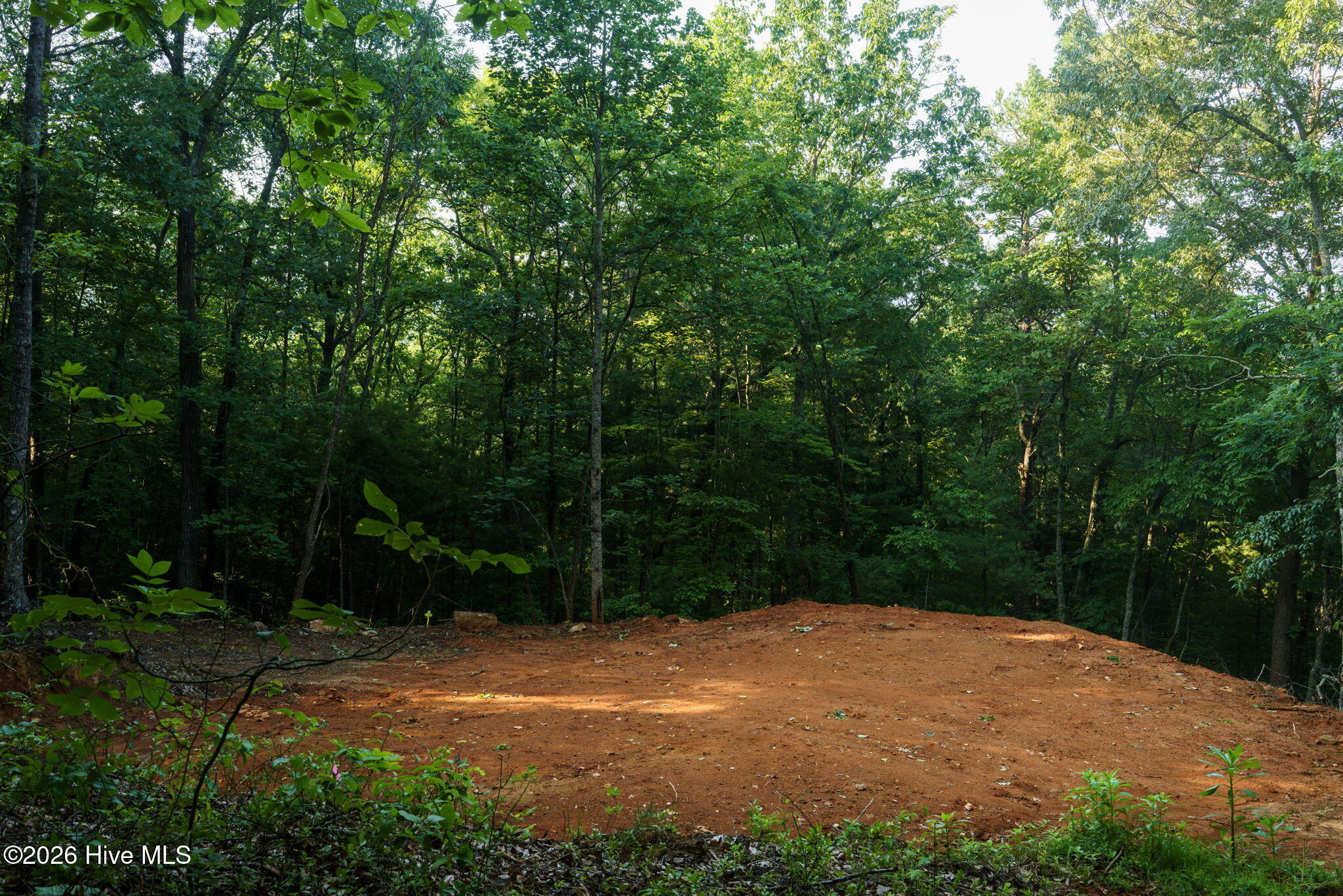 0 Gloryland Way Property Photo 26