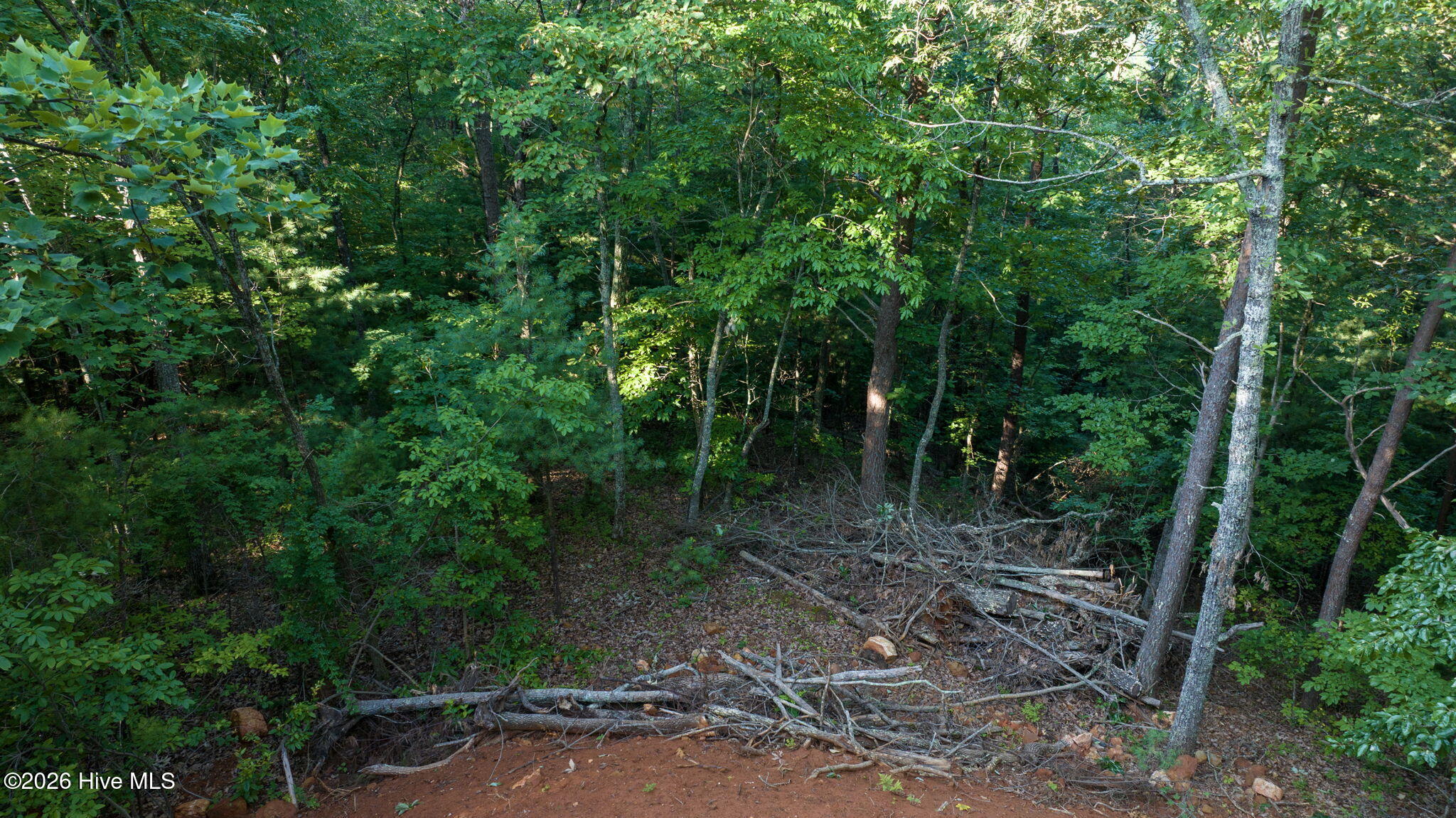 0 Gloryland Way Property Photo 42
