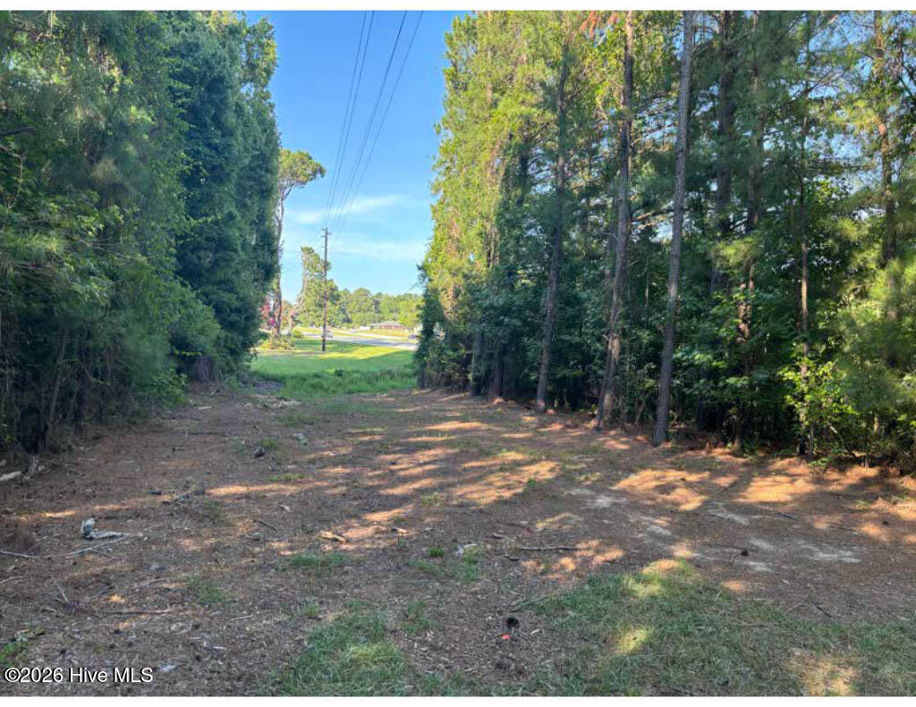 3611 New Bern Highway Property Photo 7