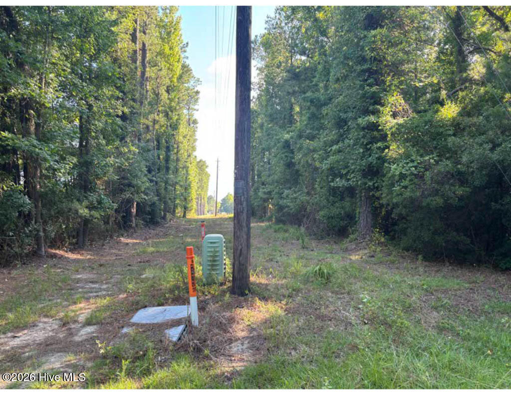 3611 New Bern Highway Property Photo 9