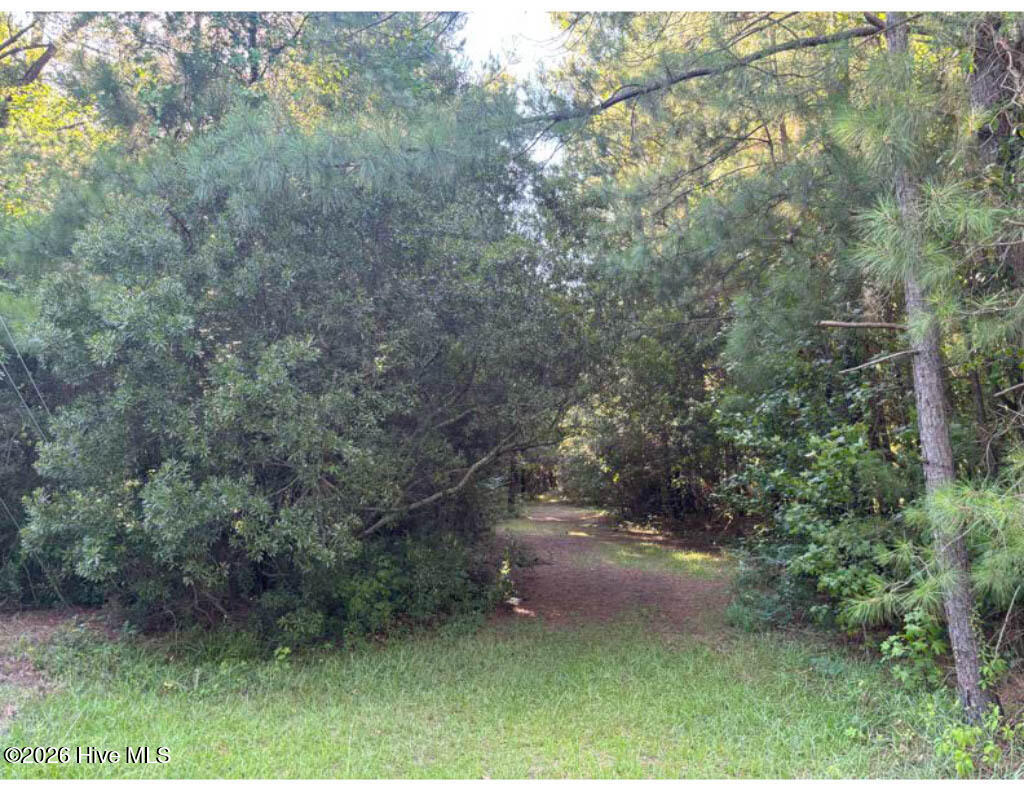 3611 New Bern Highway Property Photo 11