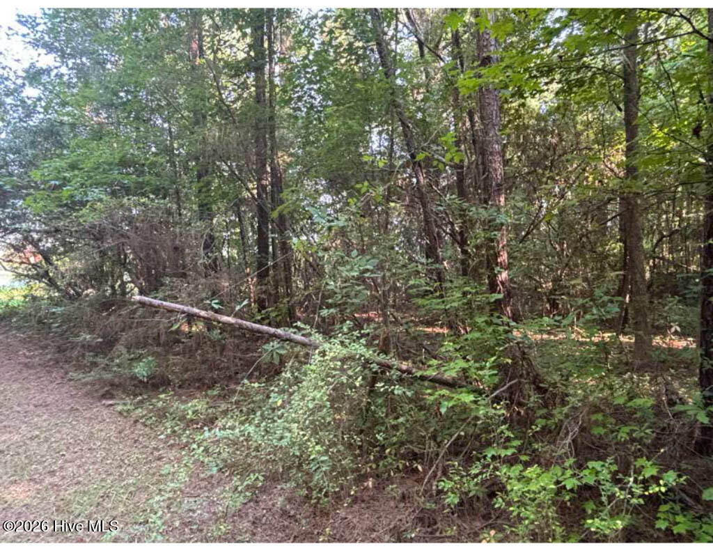 3611 New Bern Highway Property Photo 13