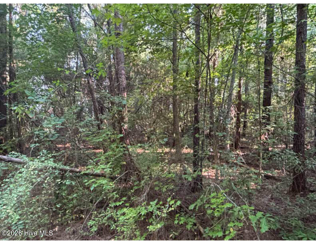 3611 New Bern Highway Property Photo 14