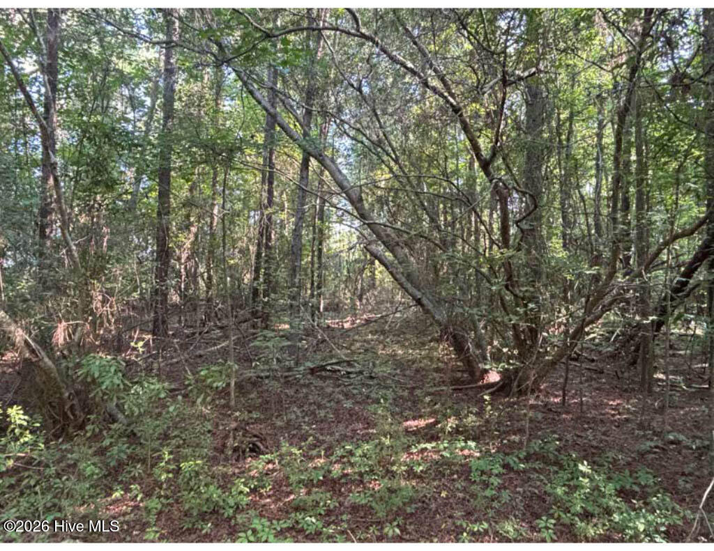 3611 New Bern Highway Property Photo 15