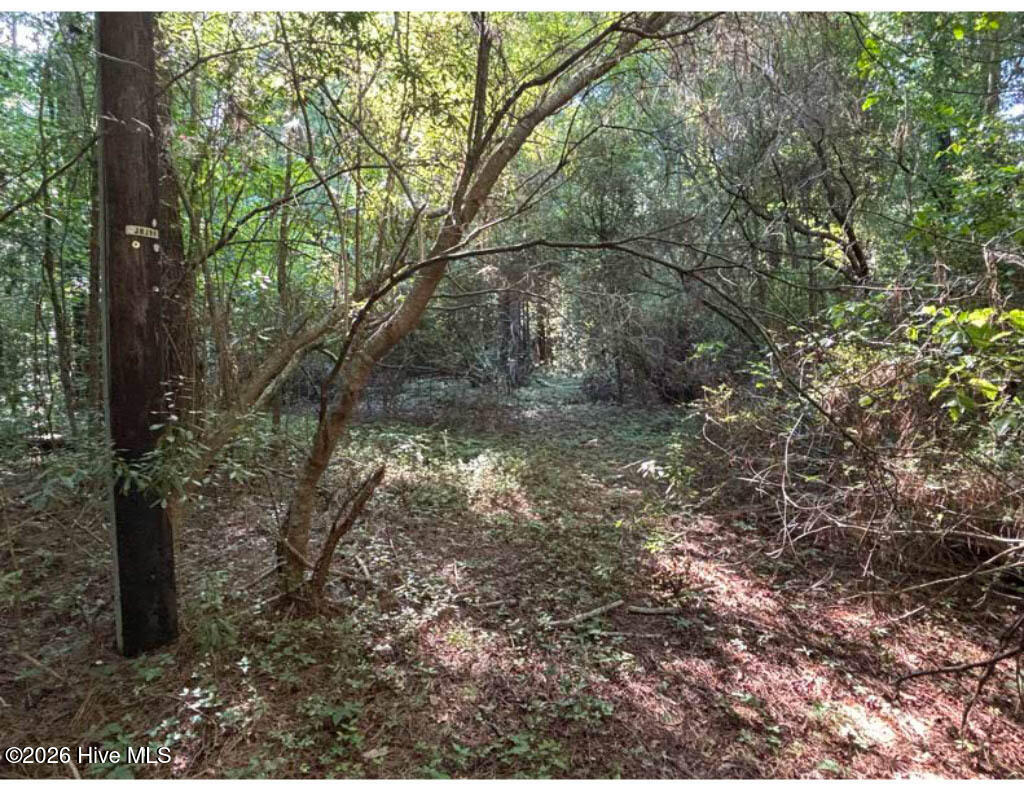 3611 New Bern Highway Property Photo 16