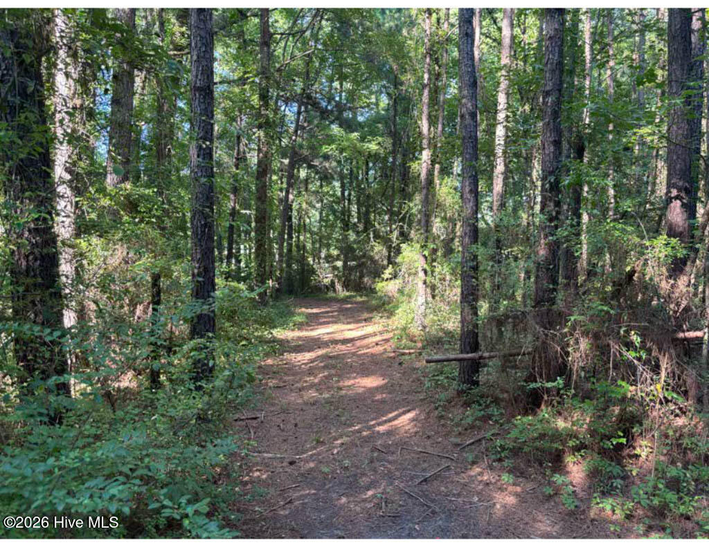 3611 New Bern Highway Property Photo 17