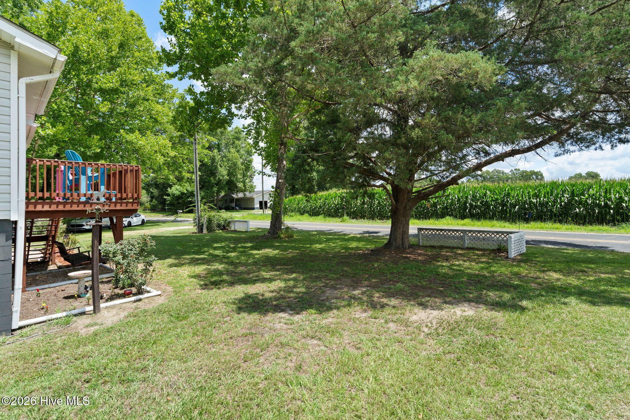 1937 Crusoe Island Road Property Photo 5