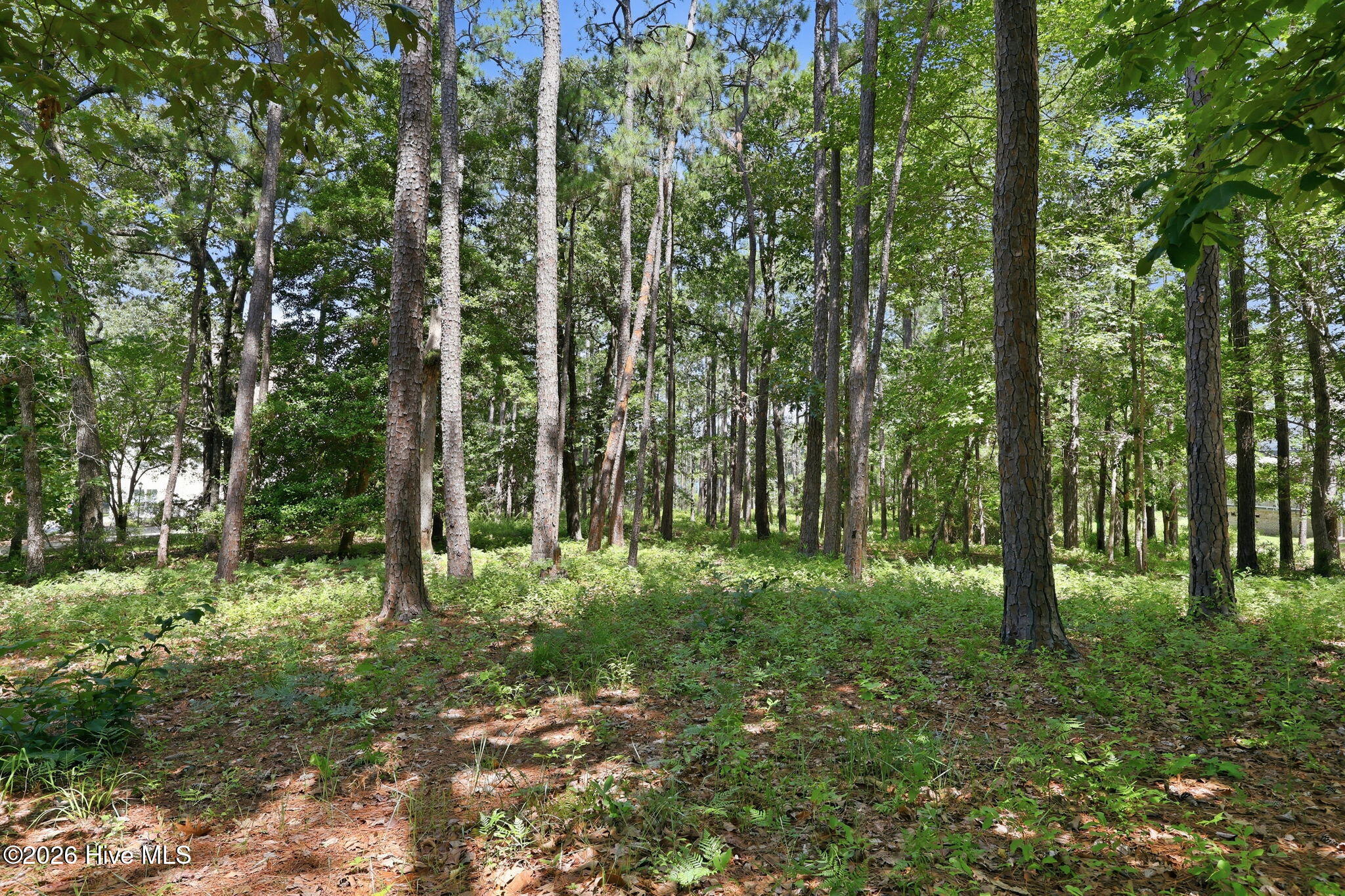 123 White Swan Way Property Photo 9