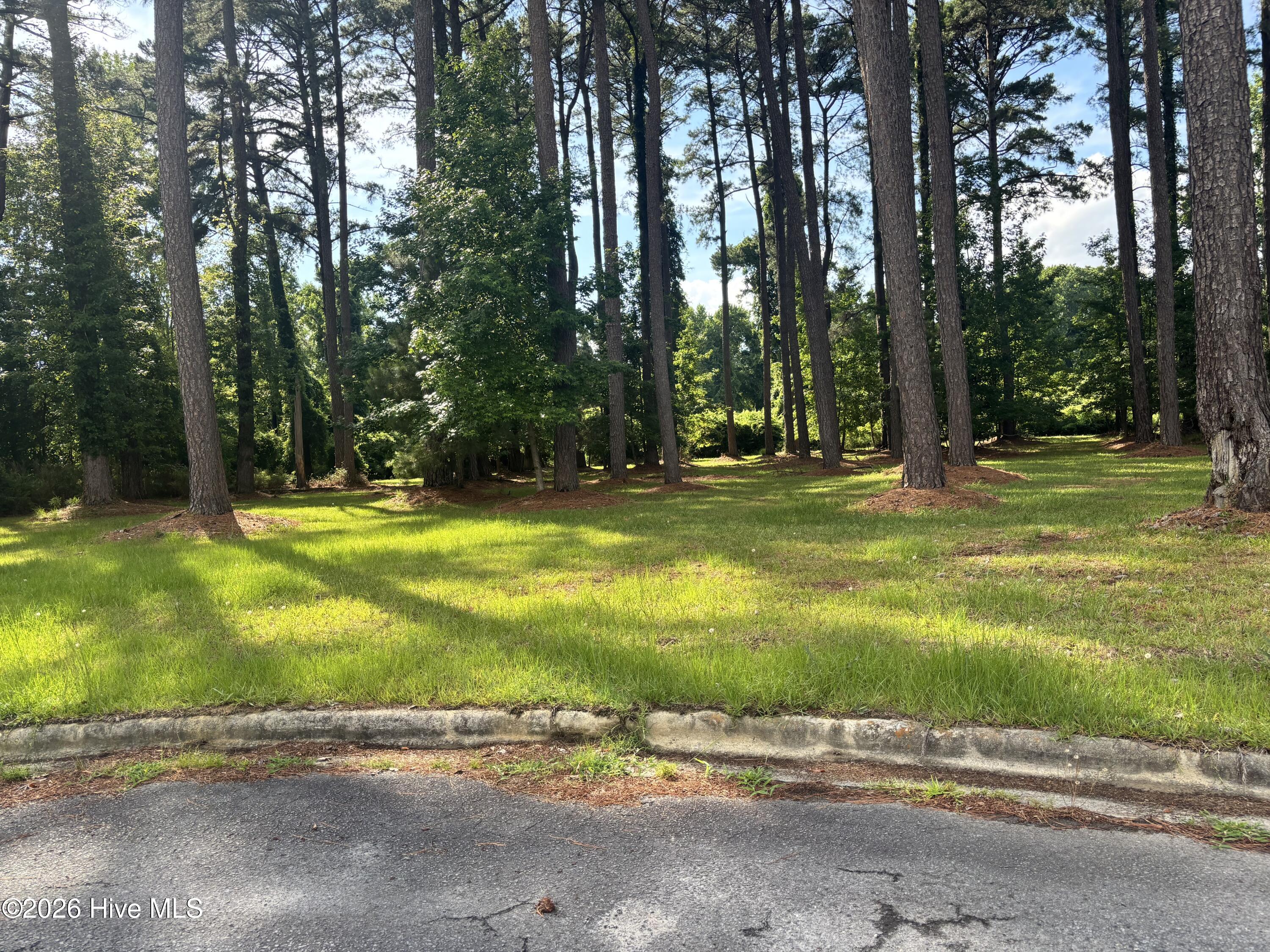 3514 Trey Court Property Photo 1