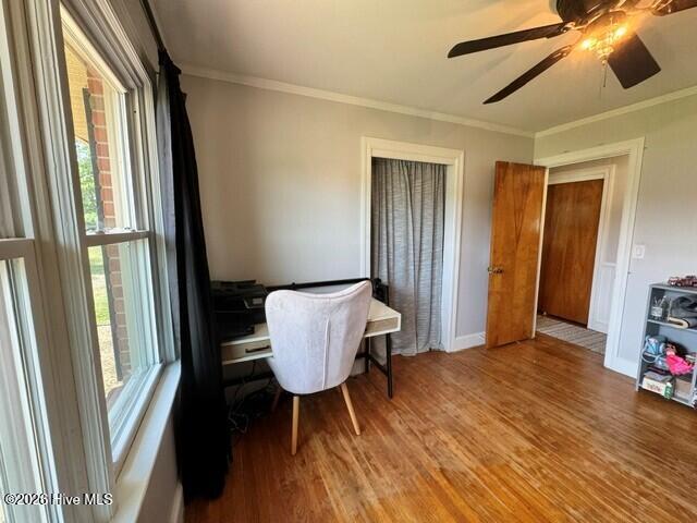 4032 Hwy 123 N Property Photo 29