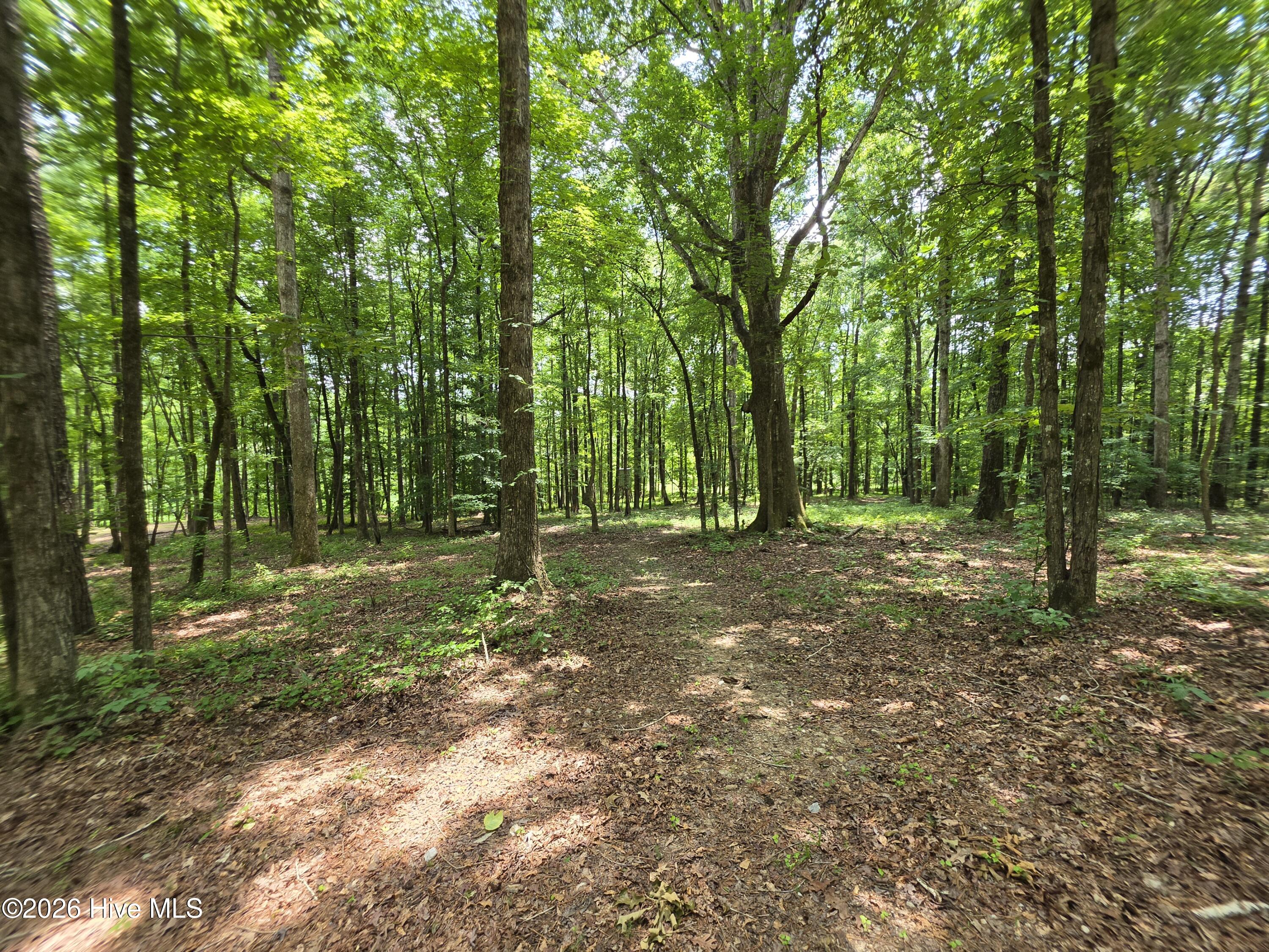 000 Court Ground Road Property Photo 8