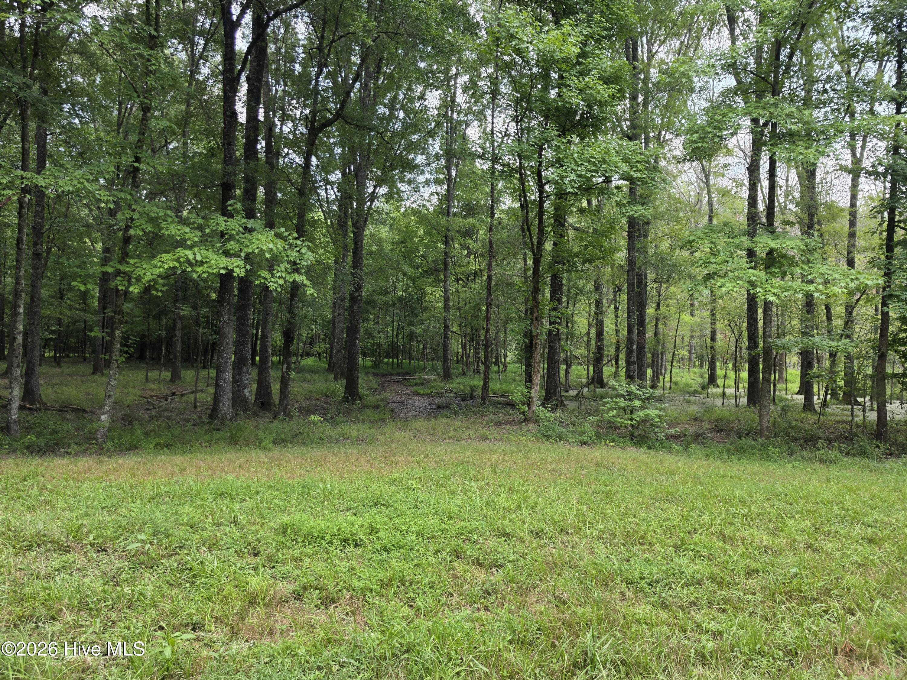 000 Court Ground Road Property Photo 24
