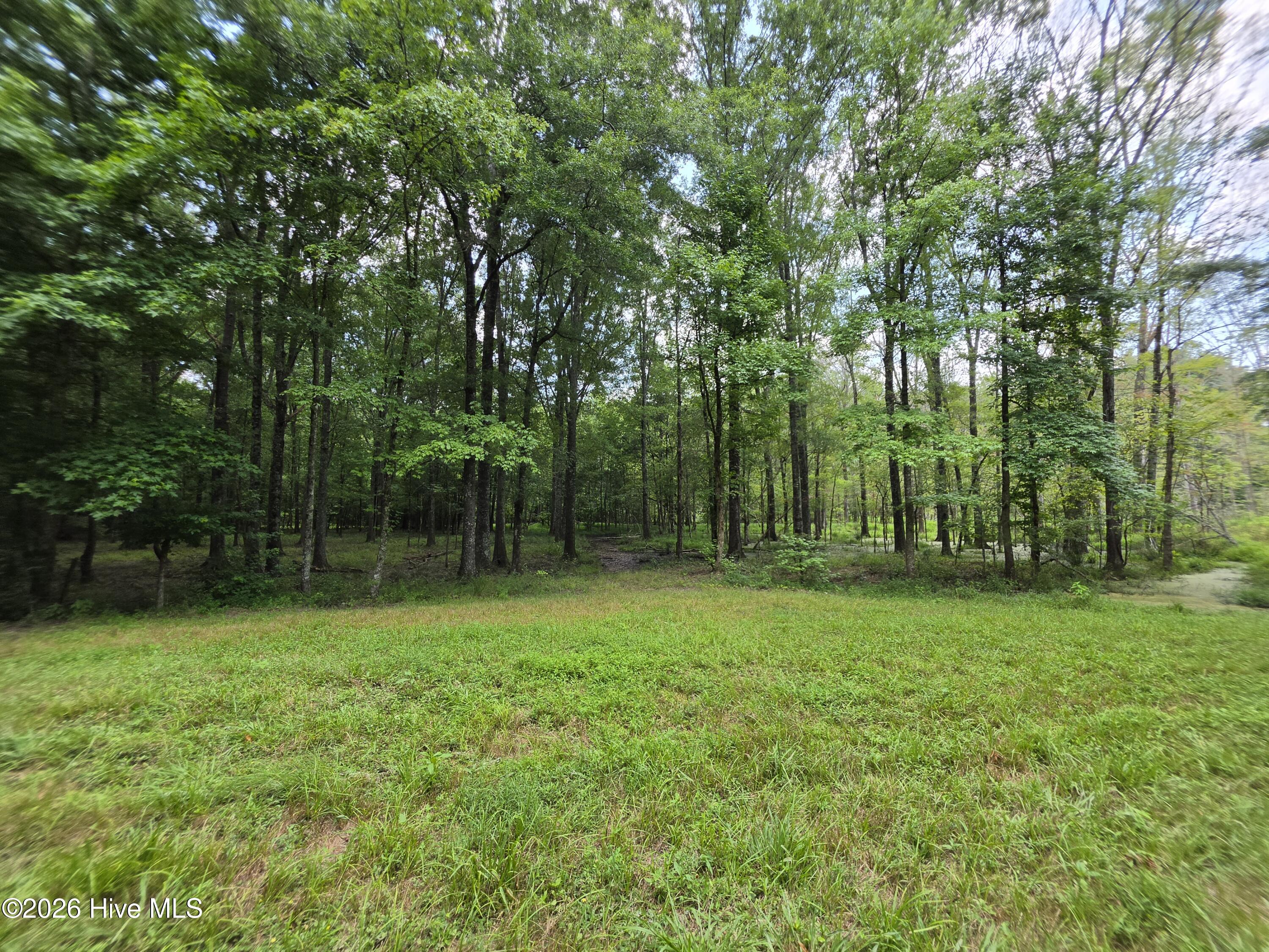 000 Court Ground Road Property Photo 25