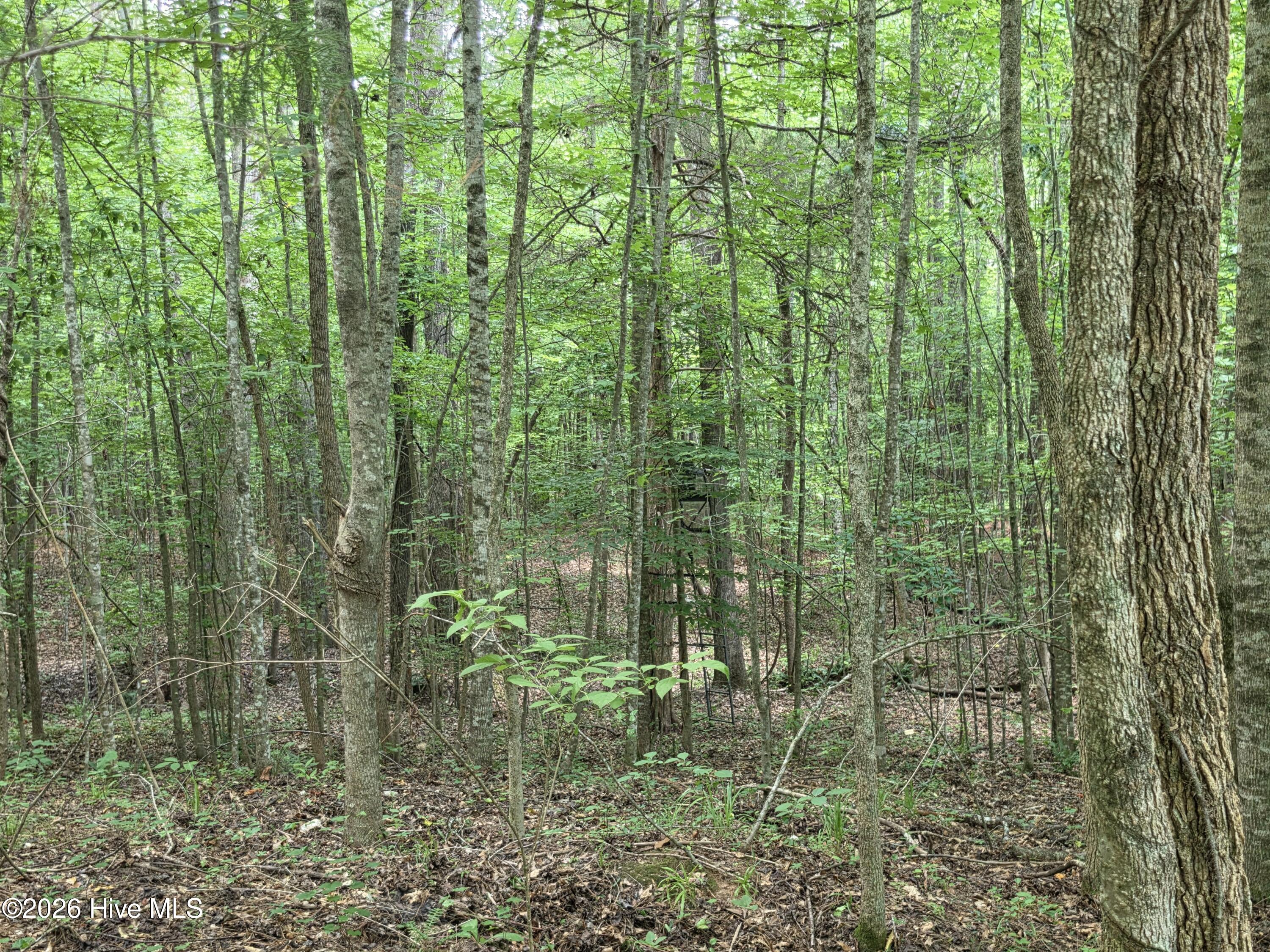 000 Court Ground Road Property Photo 26