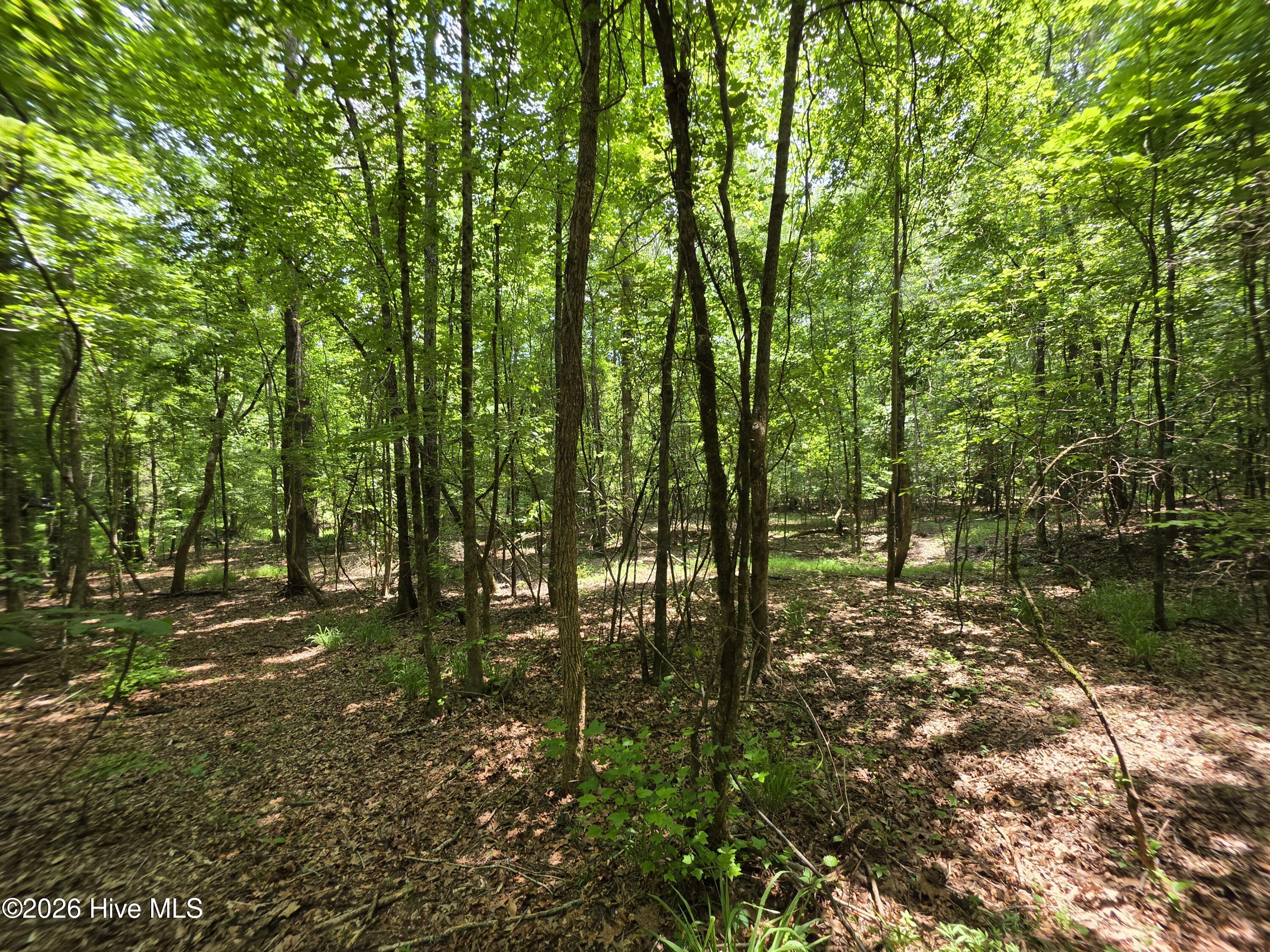 000 Court Ground Road Property Photo 32
