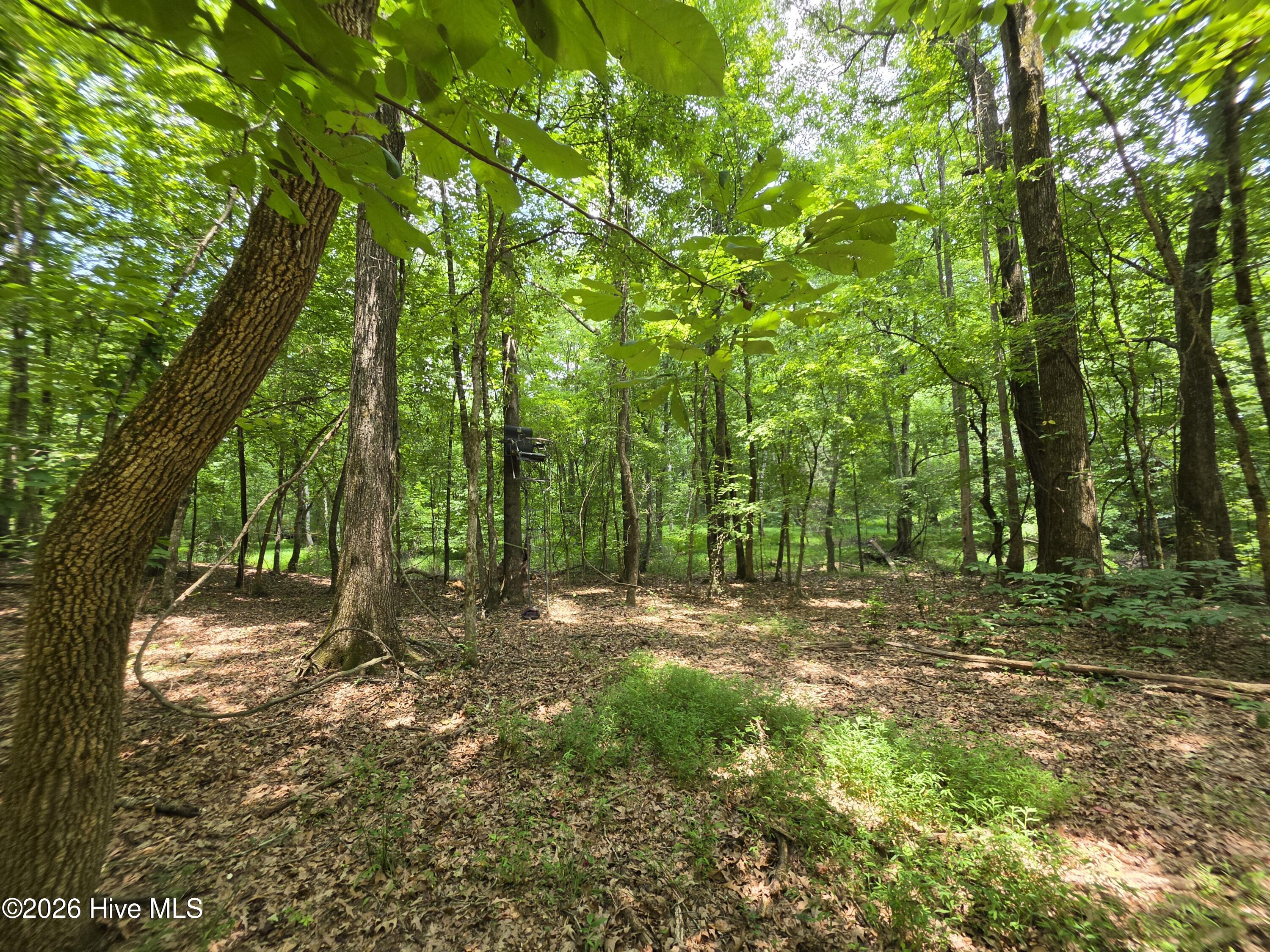 000 Court Ground Road Property Photo 33