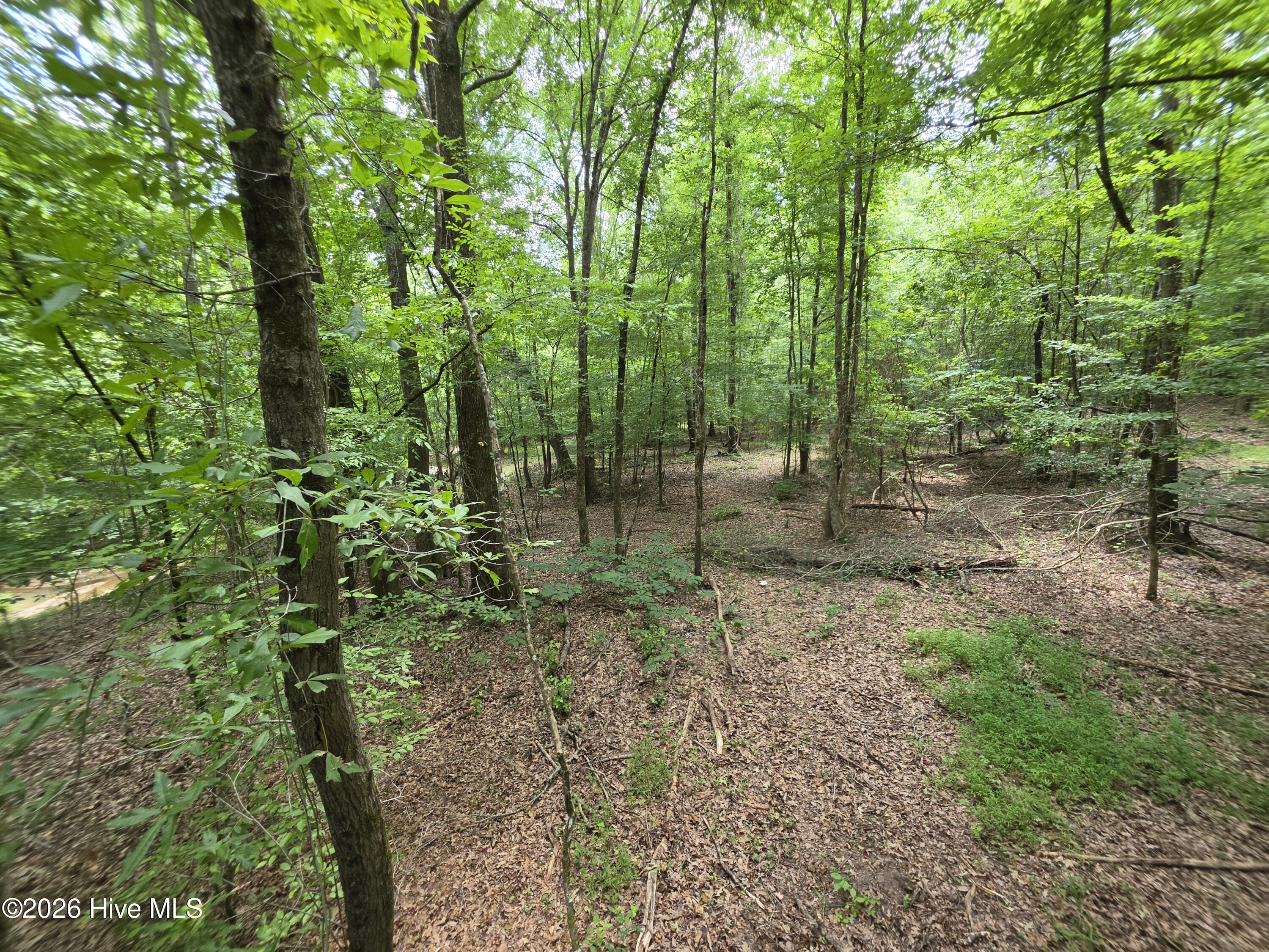 000 Court Ground Road Property Photo 34