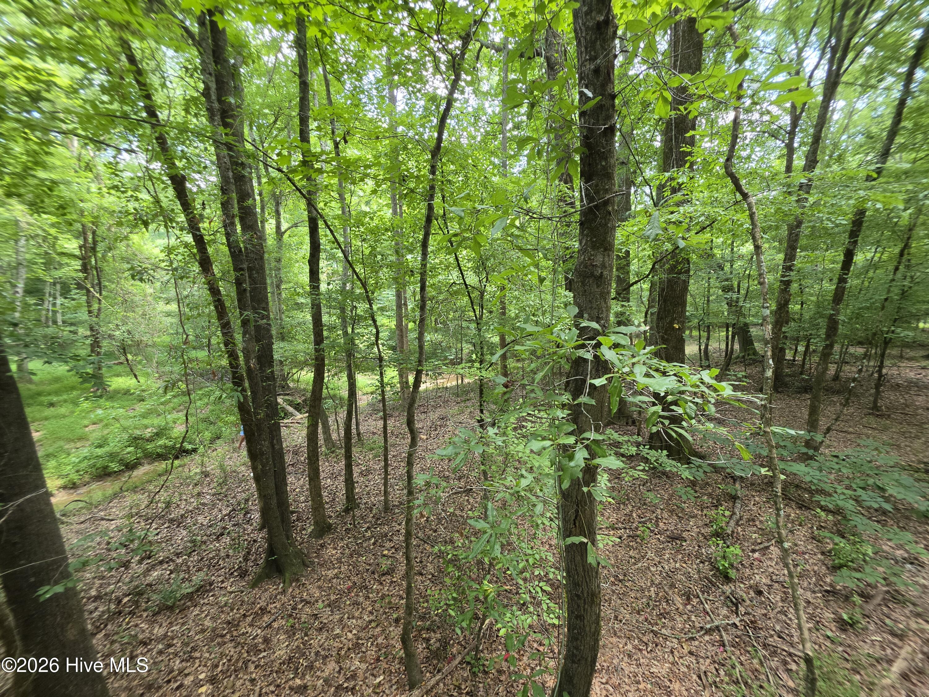 000 Court Ground Road Property Photo 35