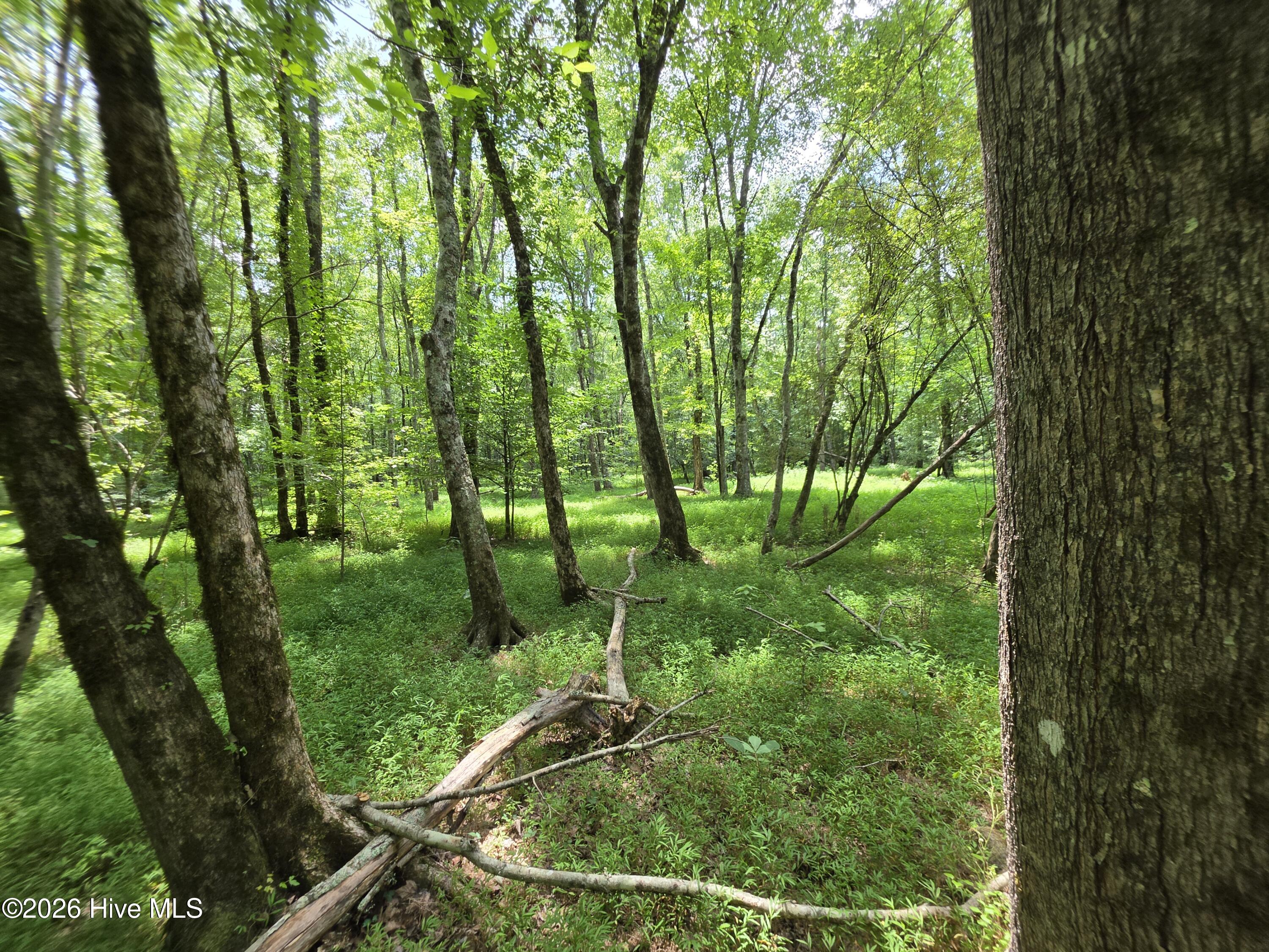 000 Court Ground Road Property Photo 38