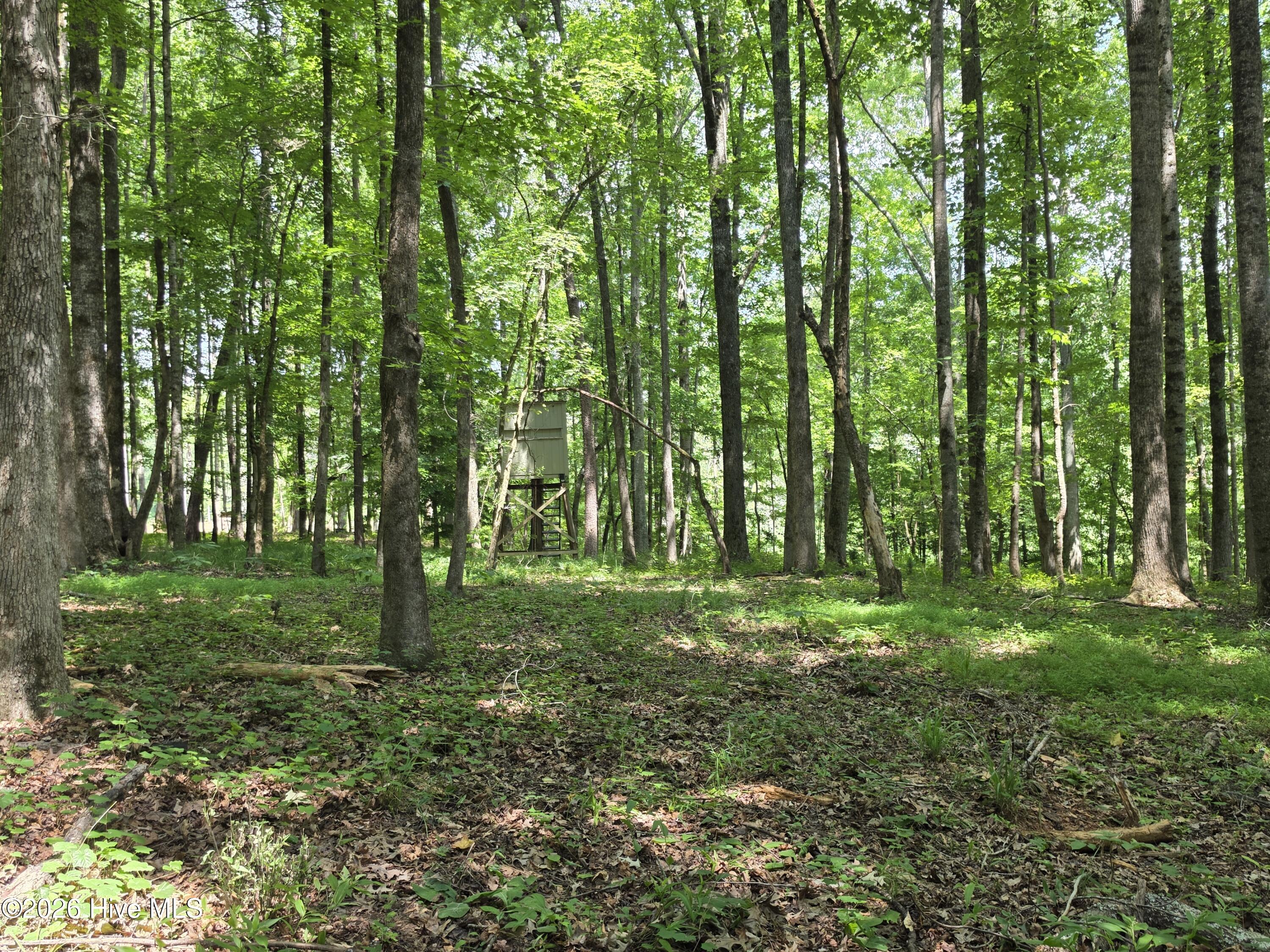 000 Court Ground Road Property Photo 39